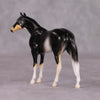 Francois - LE-3 Grey Thoroughbred Chip By Jess Hamill Call of the Wild CL24 - Tricolor Alaskan Husky