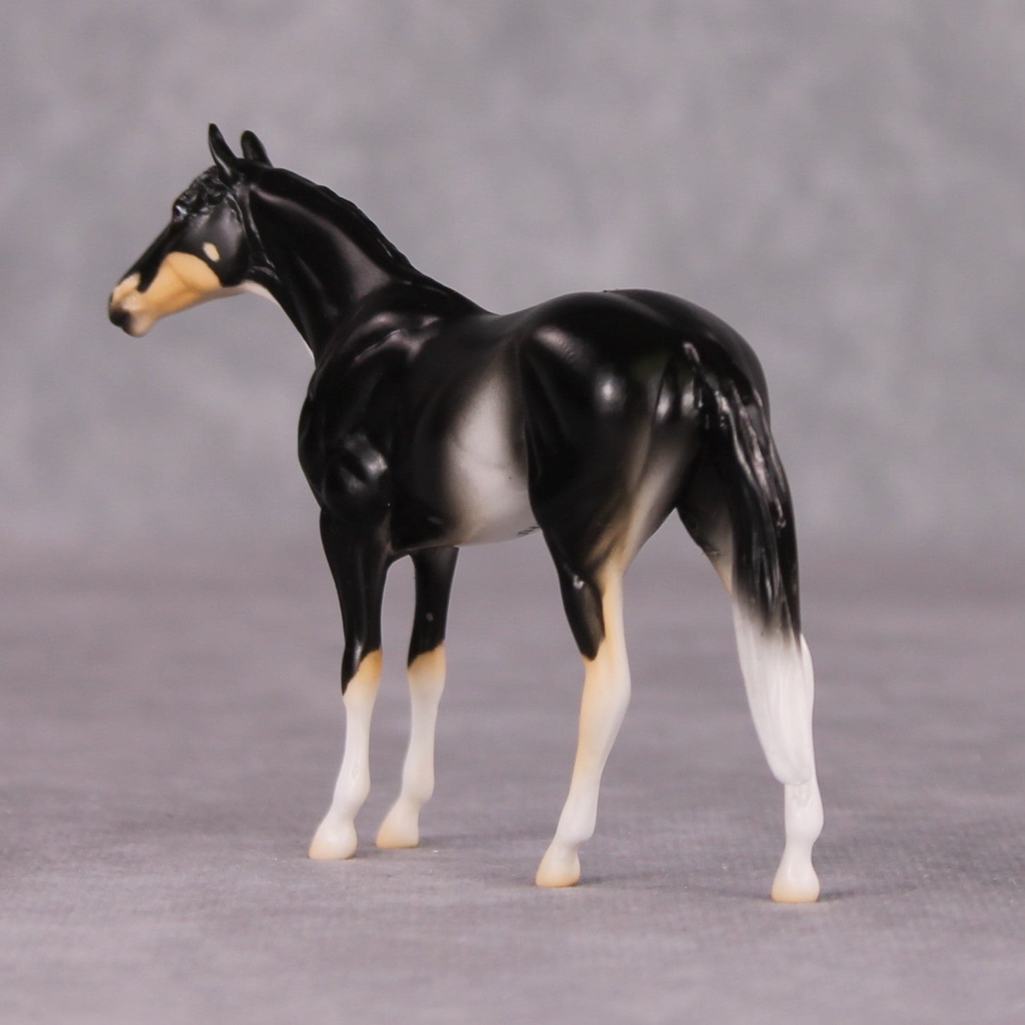 Francois - LE-3 Grey Thoroughbred Chip By Jess Hamill Call of the Wild CL24 - Tricolor Alaskan Husky