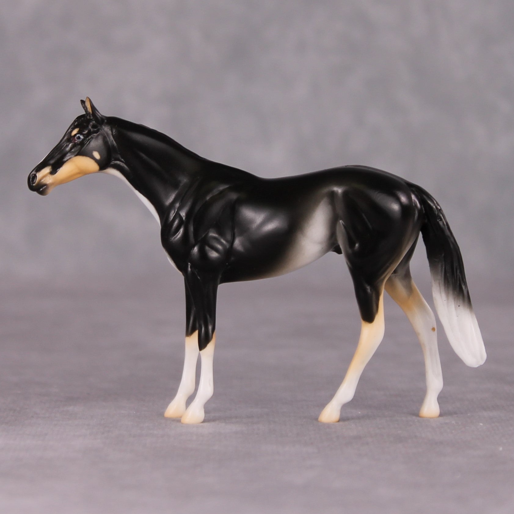 Francois - LE-3 Grey Thoroughbred Chip By Jess Hamill Call of the Wild CL24 - Tricolor Alaskan Husky