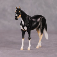 Francois - LE-3 Grey Thoroughbred Chip By Jess Hamill Call of the Wild CL24 - Tricolor Alaskan Husky