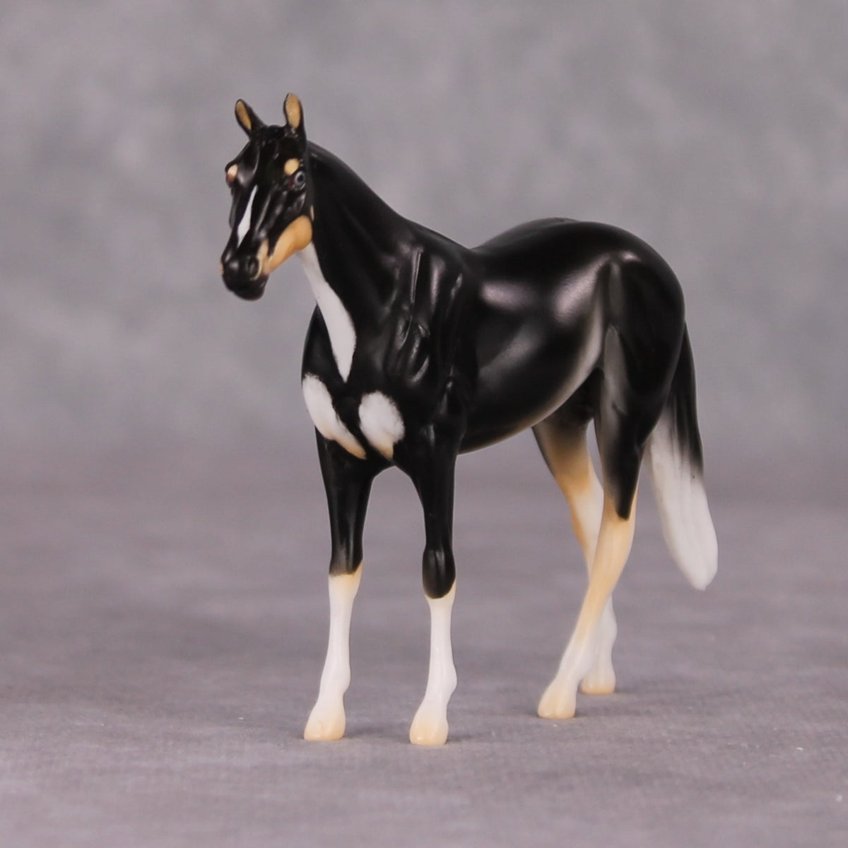 Francois - LE-3 Grey Thoroughbred Chip By Jess Hamill Call of the Wild CL24 - Tricolor Alaskan Husky