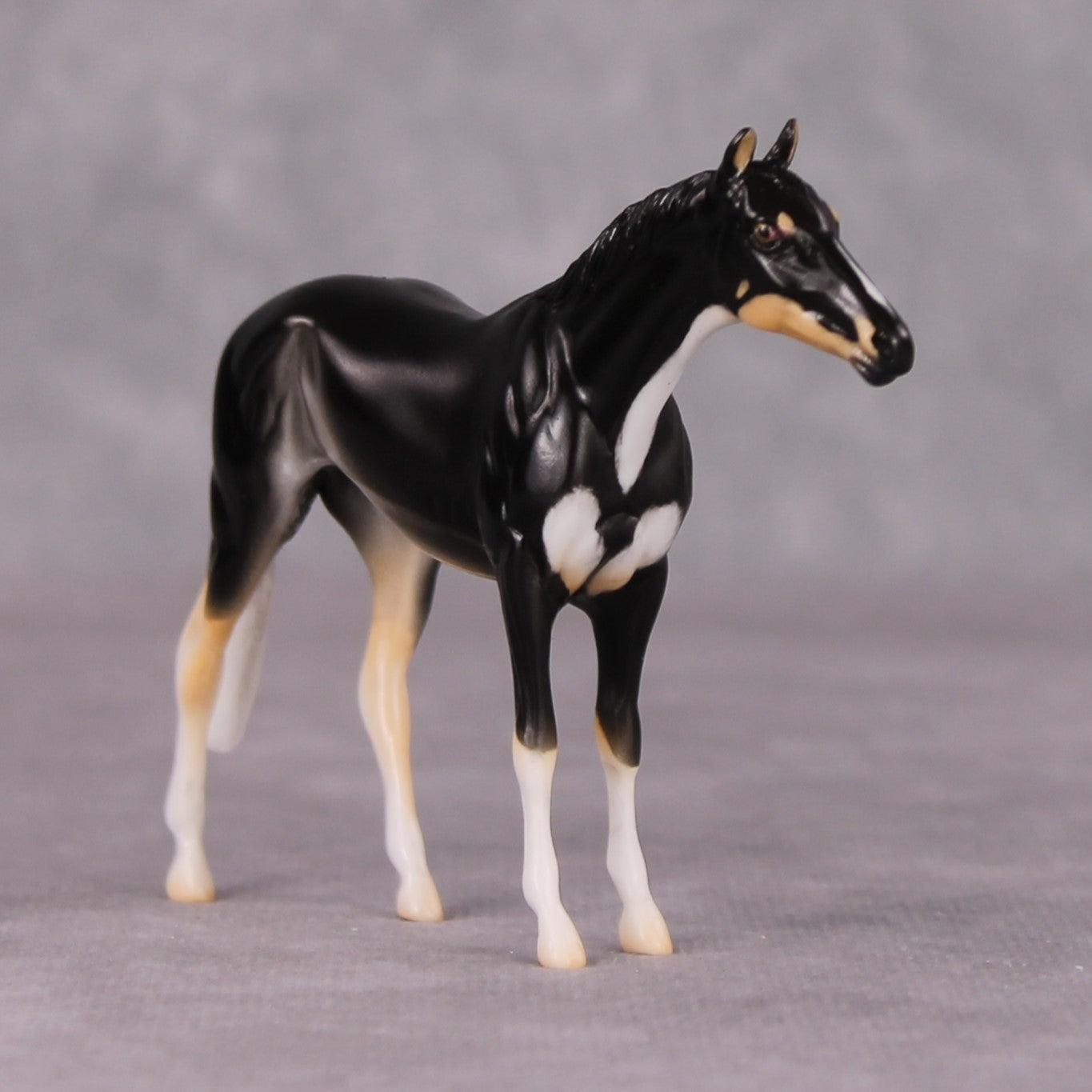 Francois - LE-3 Grey Thoroughbred Chip By Jess Hamill Call of the Wild CL24 - Tricolor Alaskan Husky