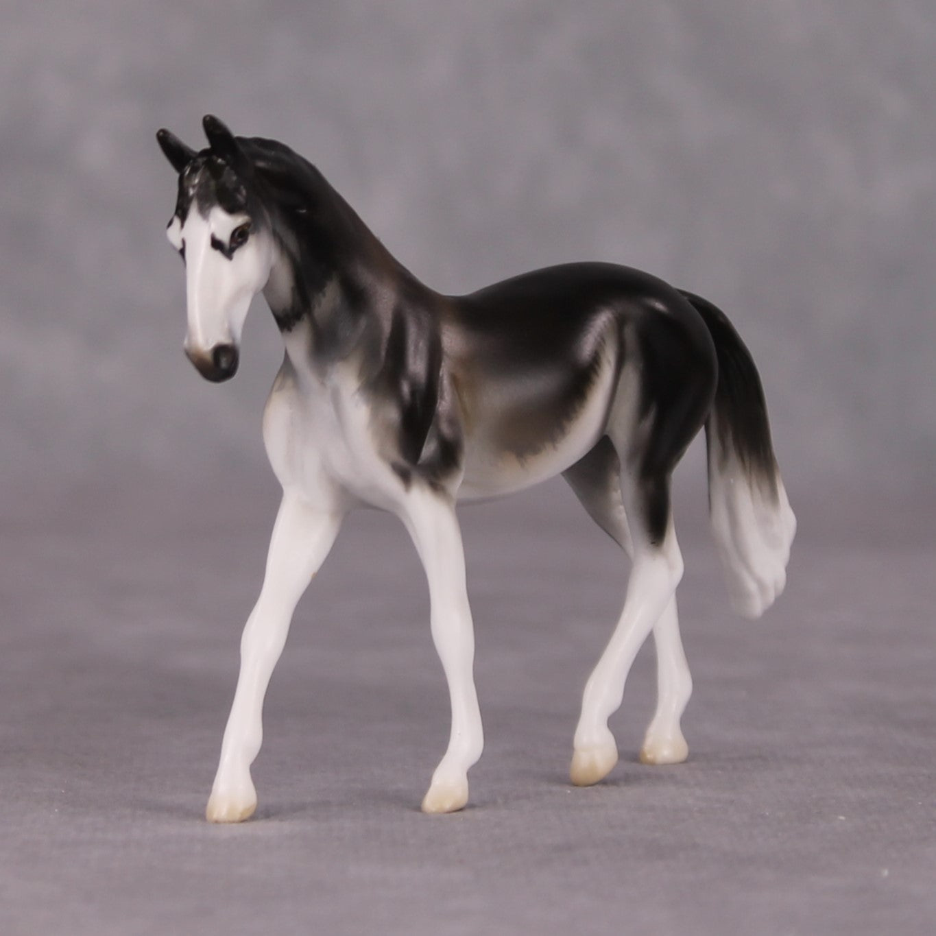 Dave LE-3 Grey Warmblood Chip By Jess Hamill Call of the Wild CL24 - Alaskan Husky