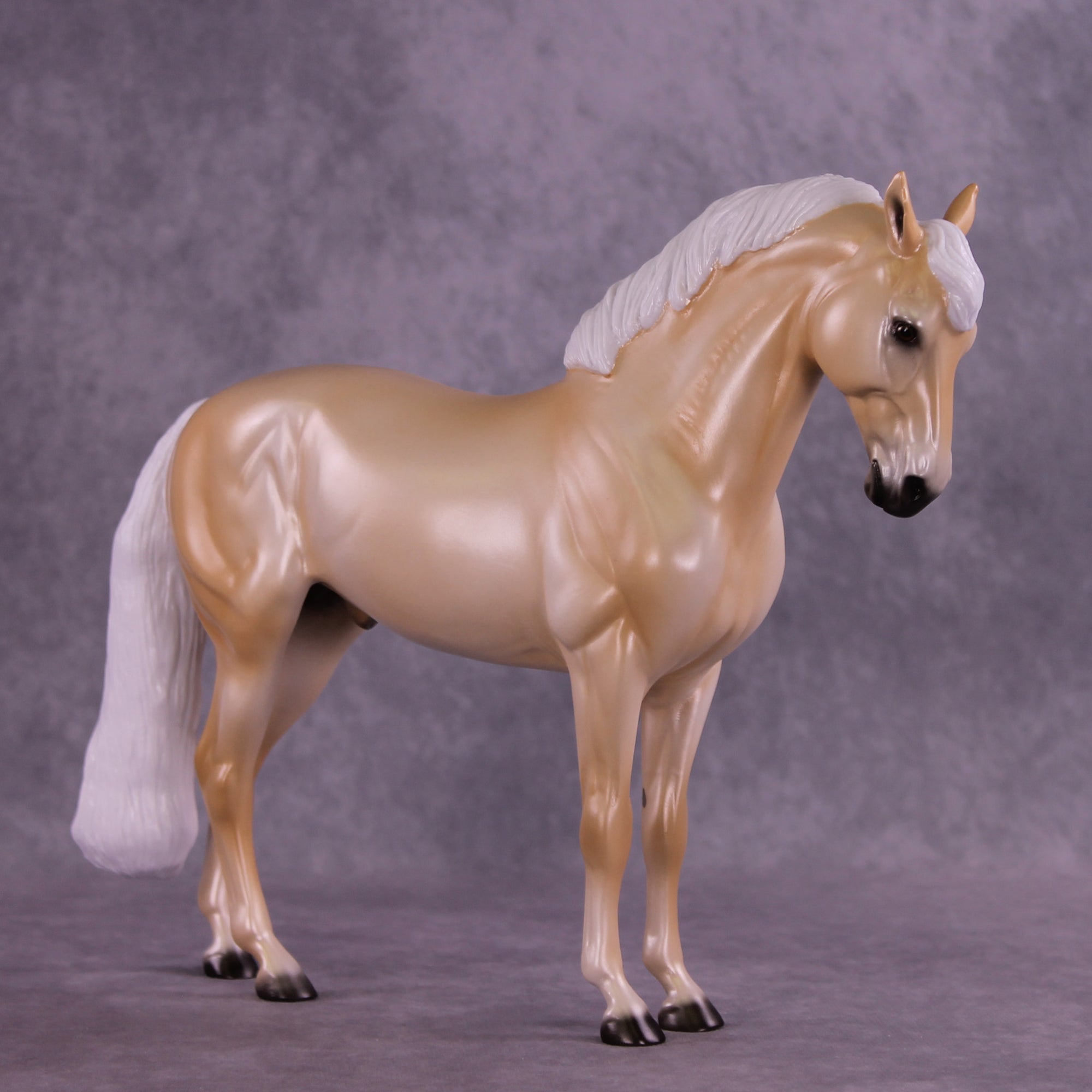 Sugar Cookie OOAK FCM Andalusian by Ellen Robbins DDOOAKs25