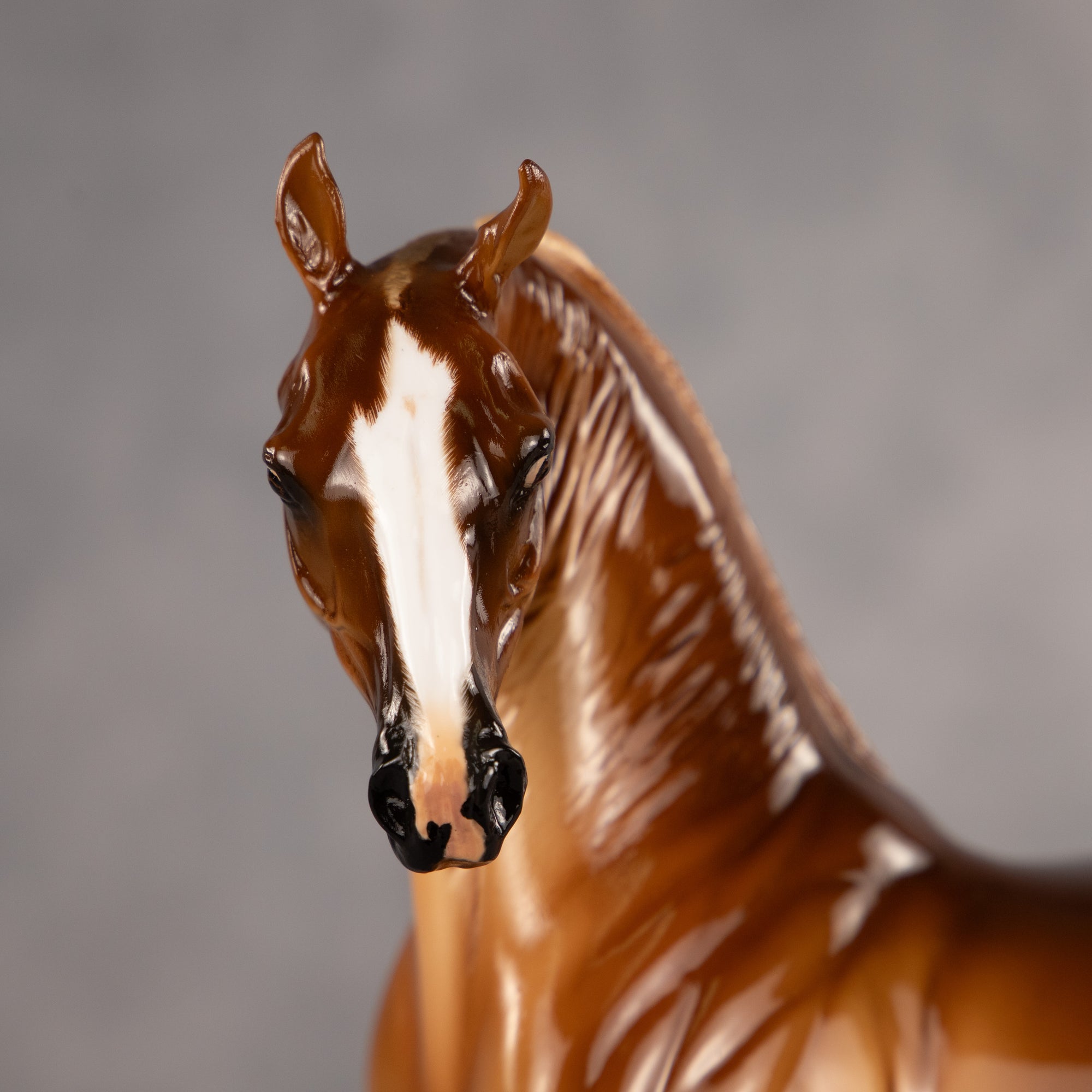 Grand Finale OOAK EFCM Arabian Stallion by Carly Kudalis EQ26