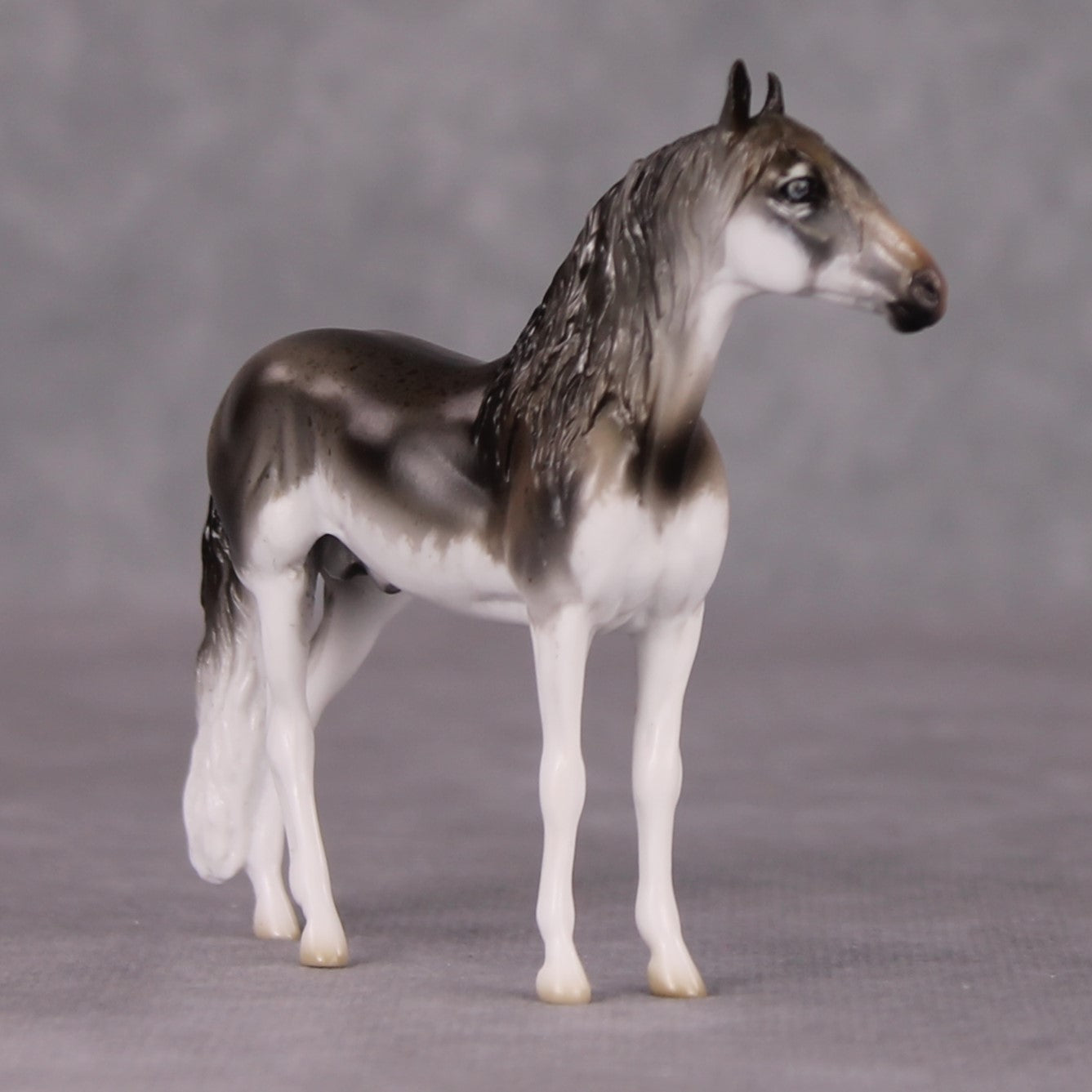 Sol-Leks LE-3 Grey Andalusian Chip By Jess Hamill Call of the Wild CL24 - Alaskan Husky