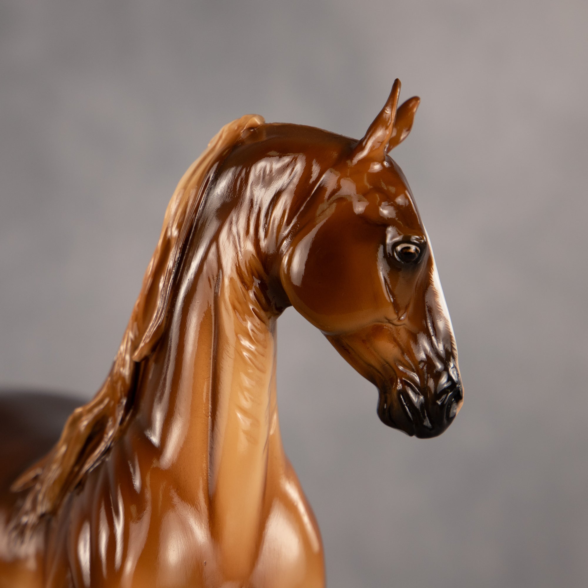 Grand Finale OOAK EFCM Arabian Stallion by Carly Kudalis EQ26