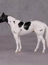Curly LE-3 Black Tobiano Stock Chip By Jess Hamill Call of the Wild CL24 - Newfoundland