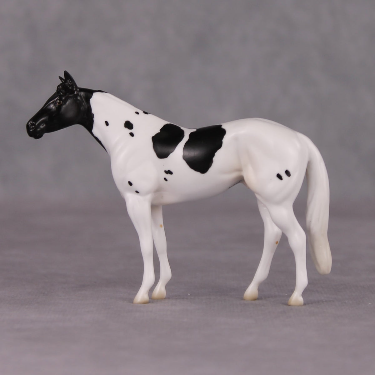 Curly LE-3 Black Tobiano Stock Chip By Jess Hamill Call of the Wild CL24 - Newfoundland