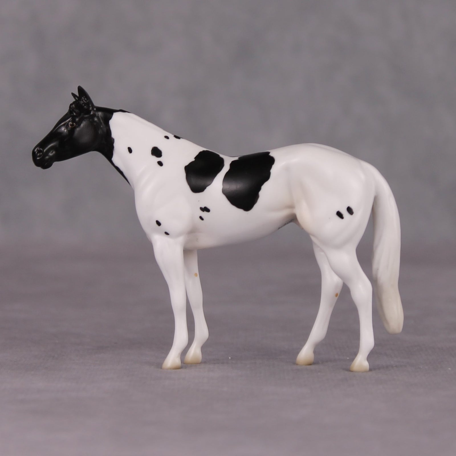 Curly LE-3 Black Tobiano Stock Chip By Jess Hamill Call of the Wild CL24 - Newfoundland