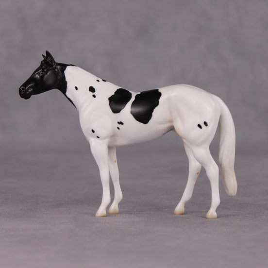 Curly LE-3 Black Tobiano Stock Chip By Jess Hamill Call of the Wild CL24 - Newfoundland