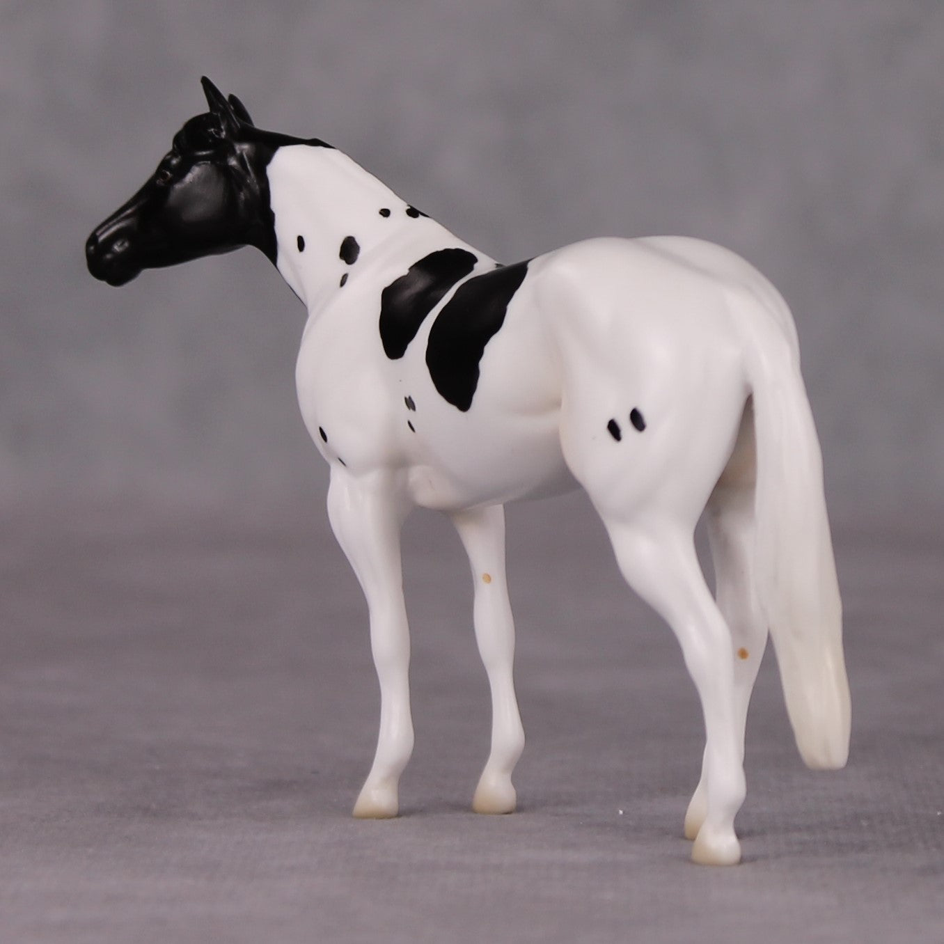 Curly LE-3 Black Tobiano Stock Chip By Jess Hamill Call of the Wild CL24 - Newfoundland