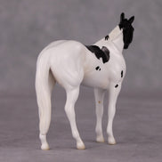 Curly LE-3 Black Tobiano Stock Chip By Jess Hamill Call of the Wild CL24 - Newfoundland