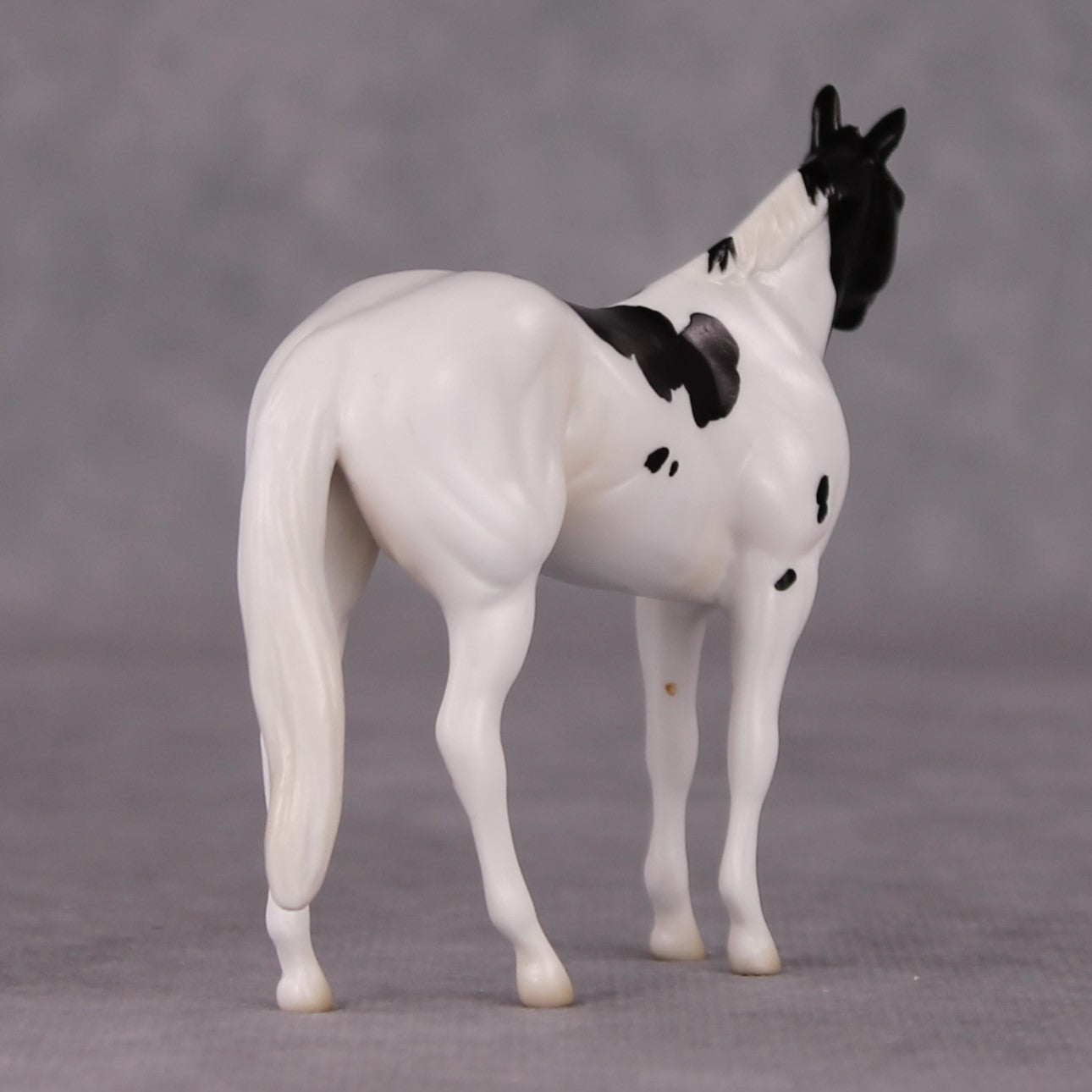 Curly LE-3 Black Tobiano Stock Chip By Jess Hamill Call of the Wild CL24 - Newfoundland