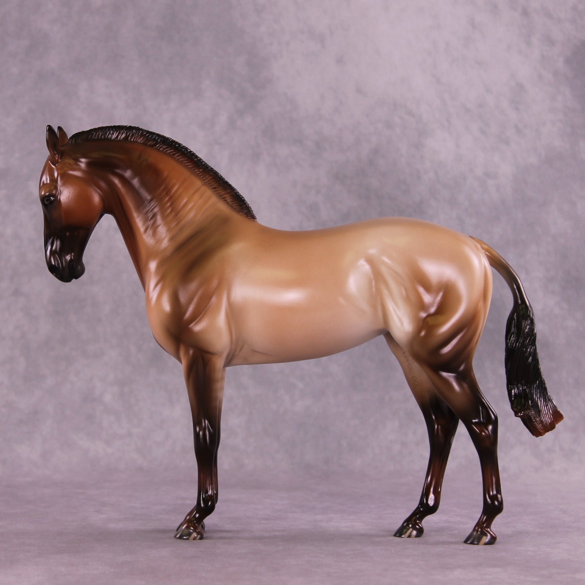 Design-A-Horse FCM Andalusian by Ashley Palmer SS925