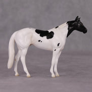 Curly LE-3 Black Tobiano Stock Chip By Jess Hamill Call of the Wild CL24 - Newfoundland