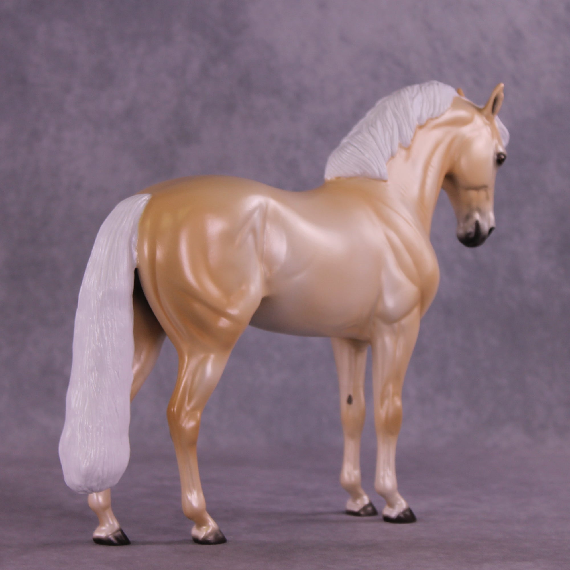 Sugar Cookie OOAK FCM Andalusian by Ellen Robbins DDOOAKs25