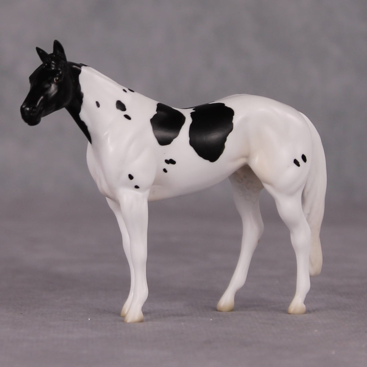 Curly LE-3 Black Tobiano Stock Chip By Jess Hamill Call of the Wild CL24 - Newfoundland
