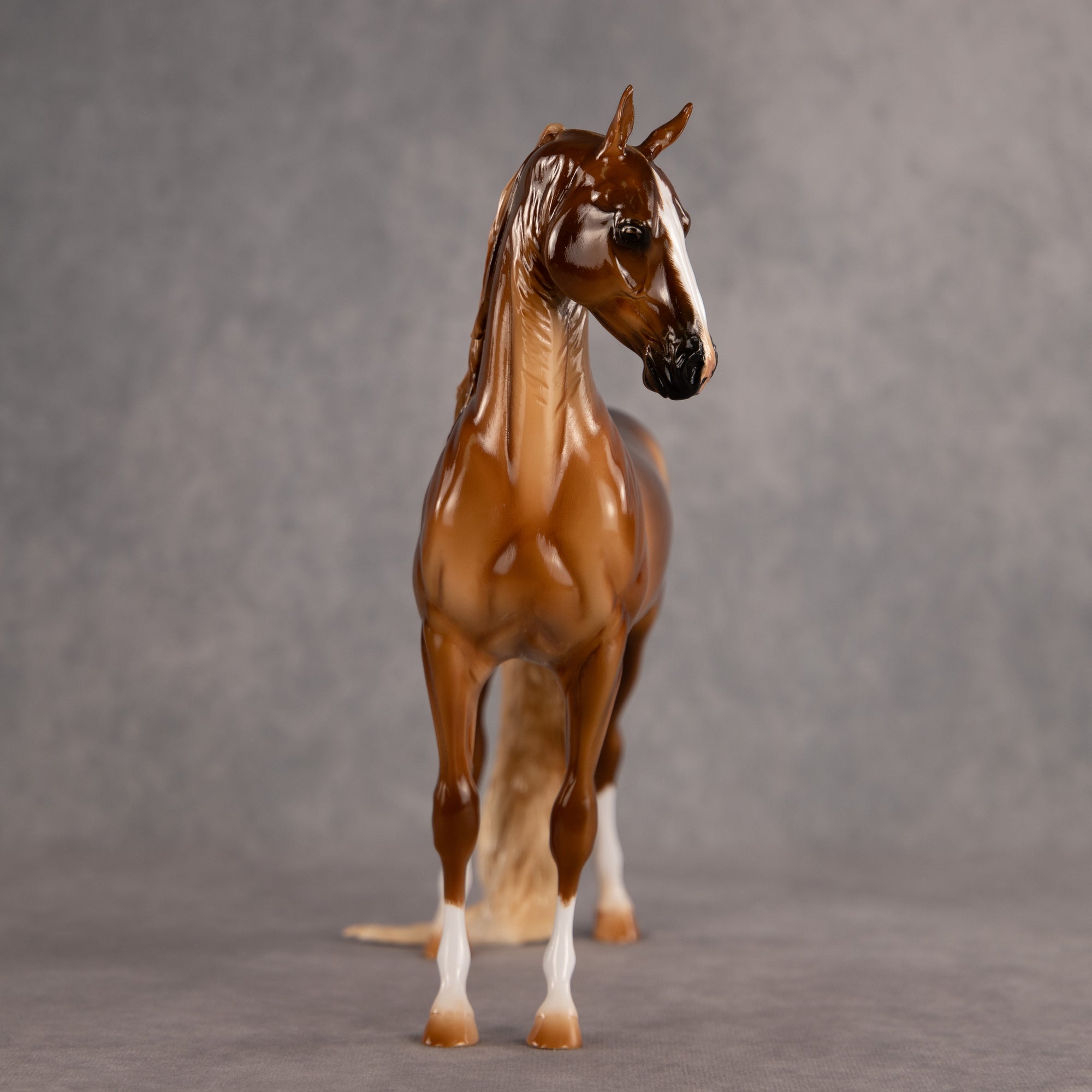 Grand Finale OOAK EFCM Arabian Stallion by Carly Kudalis EQ26