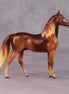 Skeet LE-3 Chestnut Morgan Chip By Jess Hamill Call of the Wild CL24 - Irish Setter