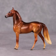 Skeet LE-3 Chestnut Morgan Chip By Jess Hamill Call of the Wild CL24 - Irish Setter