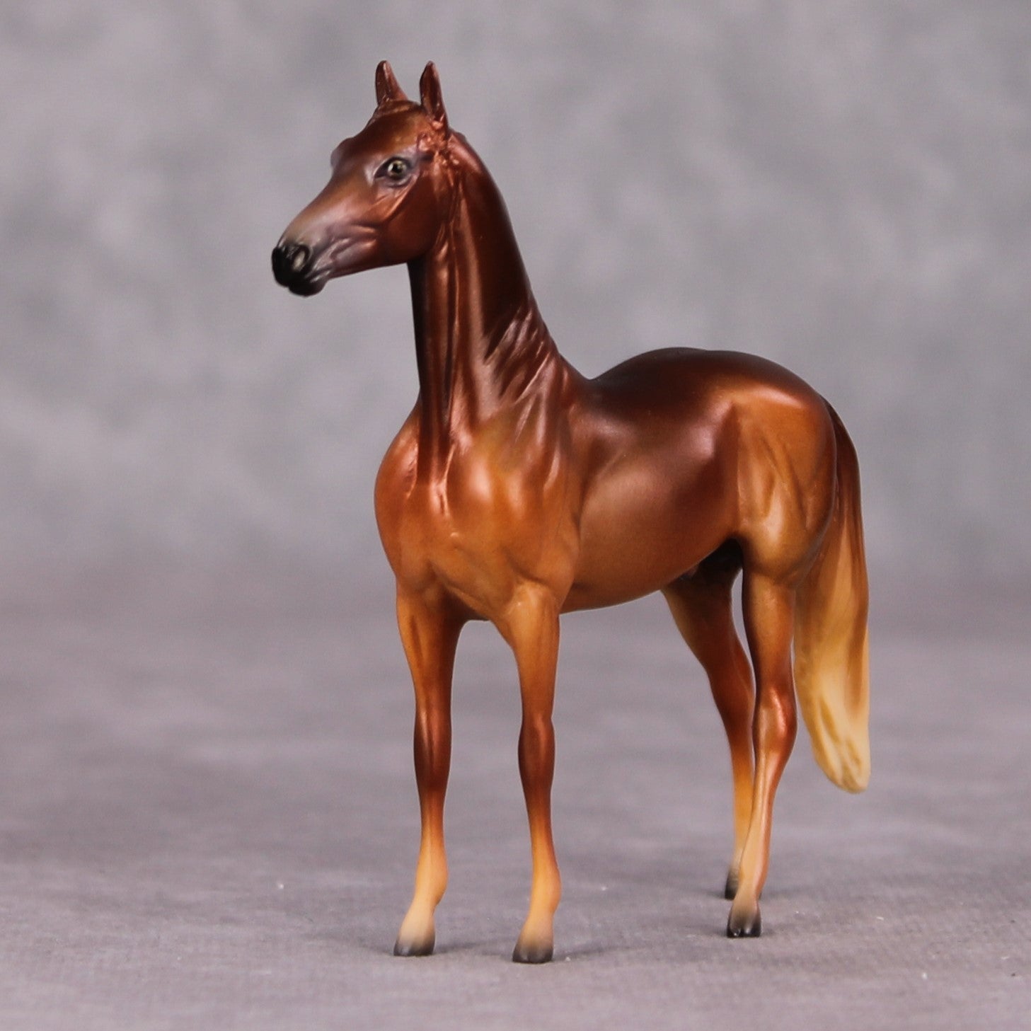 Skeet LE-3 Chestnut Morgan Chip By Jess Hamill Call of the Wild CL24 - Irish Setter