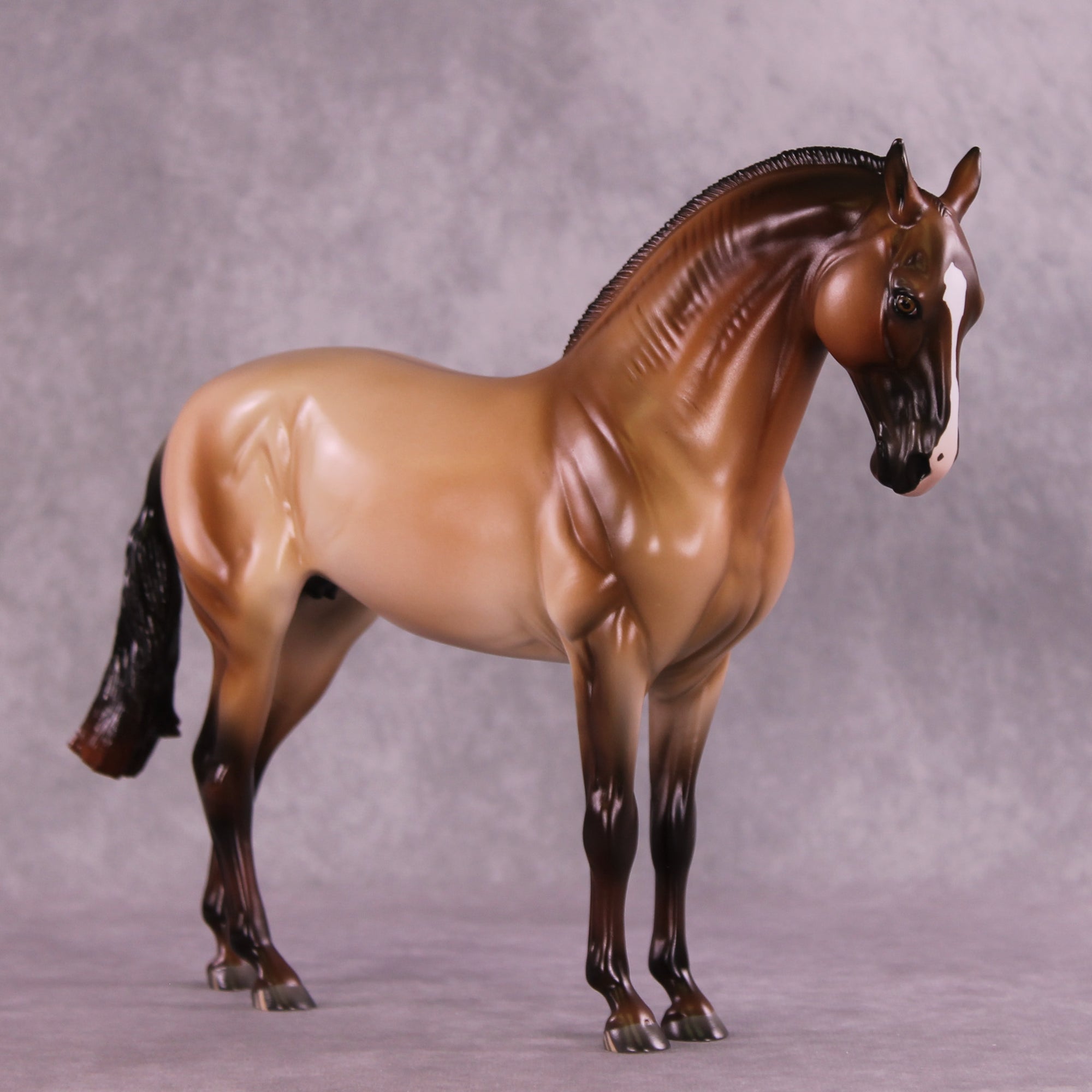 Design-A-Horse FCM Andalusian by Ashley Palmer SS925