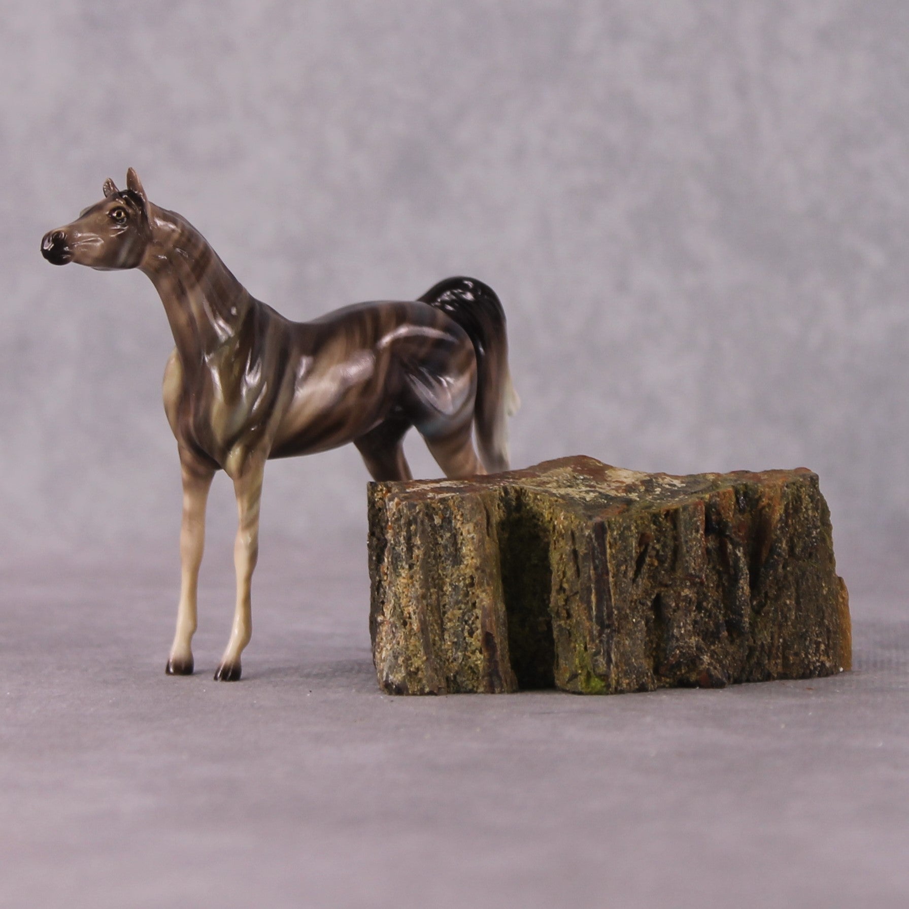 “National Take A Walk in a Park Day” Rock Chips: OOAK Arabian Chip based on Petrified Wood I by Ellen Robbins