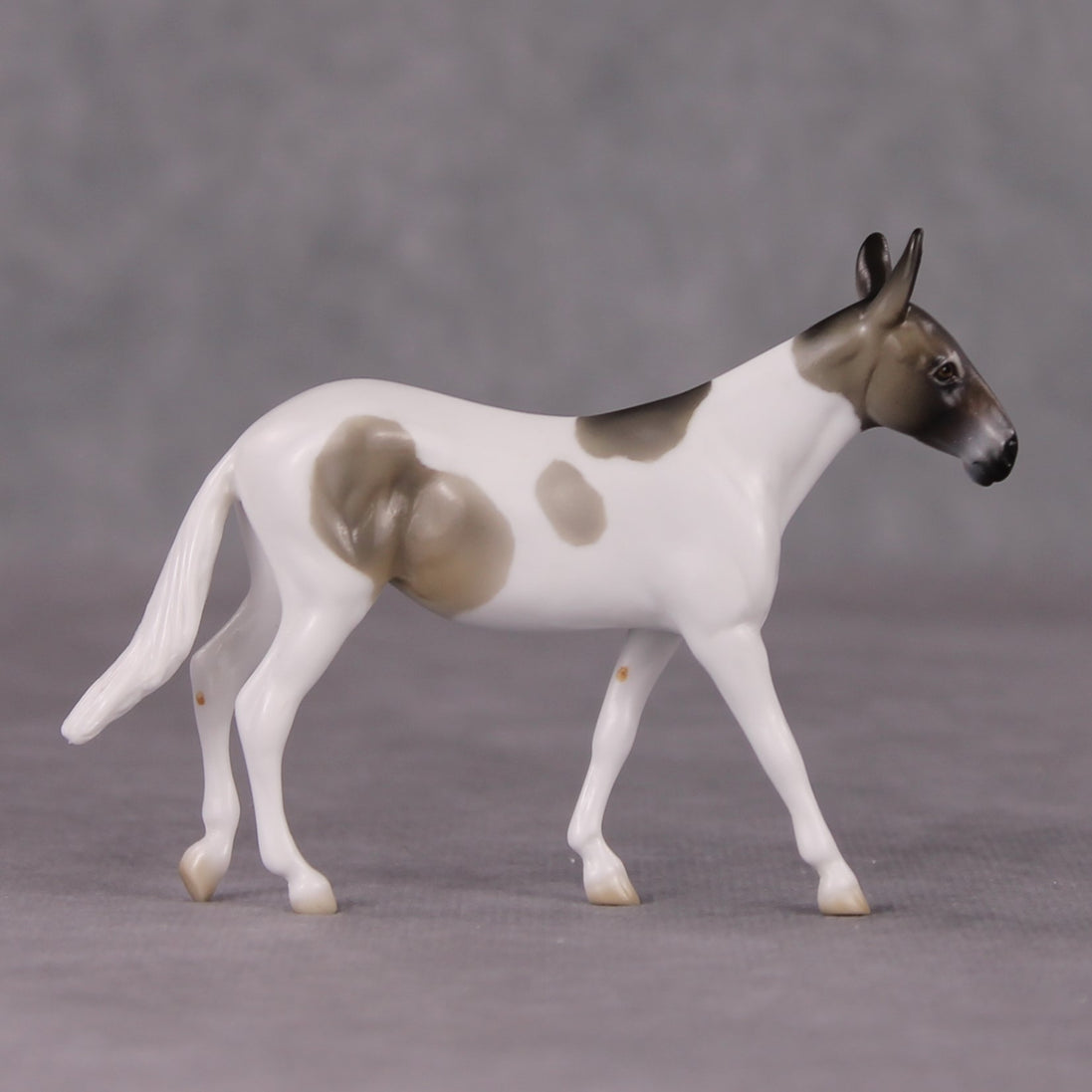 Pike LE-3 Dun Pinto Mule Chip By Jess Hamill Call of the Wild CL24 - Alaskan Husky