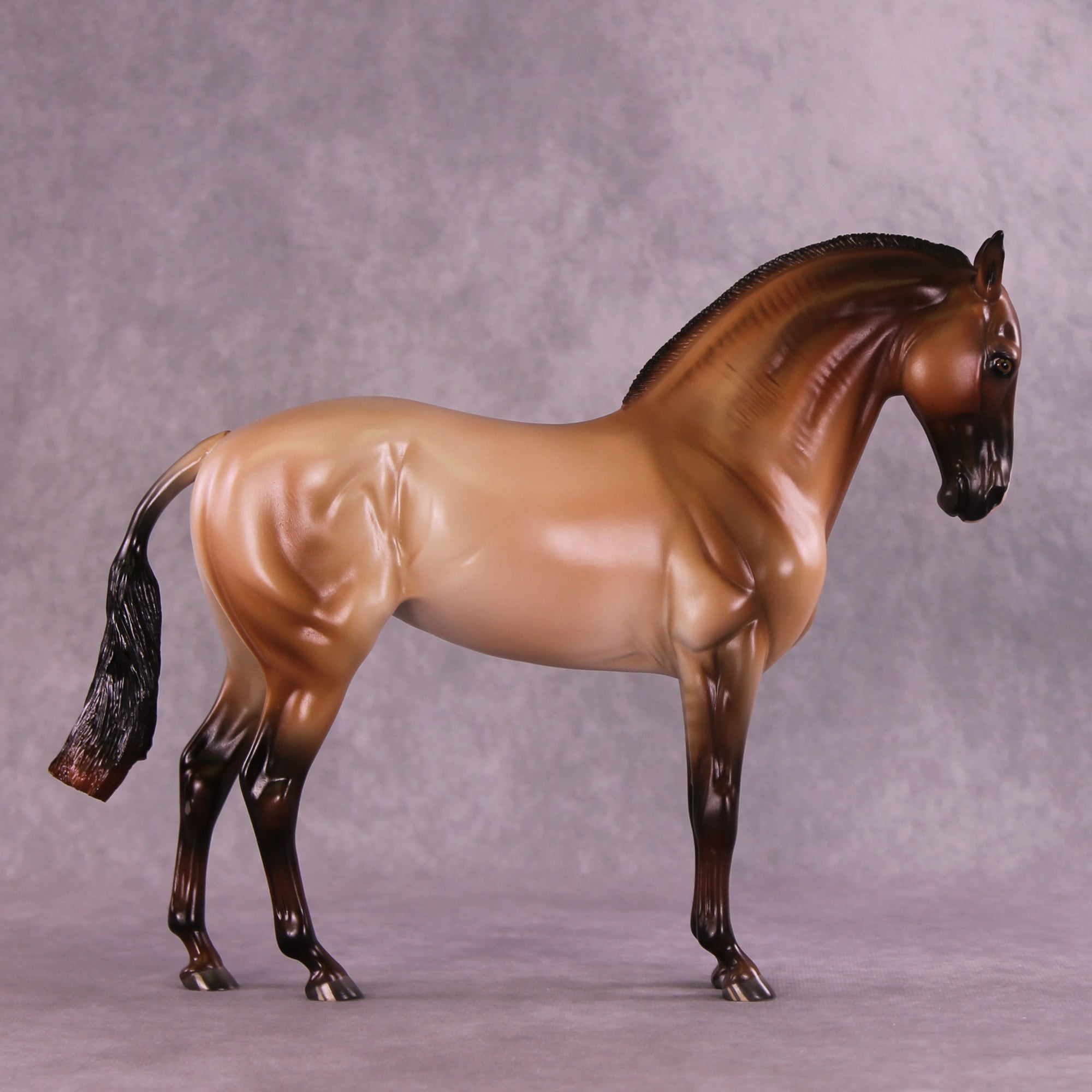 Design-A-Horse FCM Andalusian by Ashley Palmer SS925