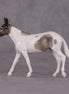 Pike LE-3 Dun Pinto Mule Chip By Jess Hamill Call of the Wild CL24 - Alaskan Husky