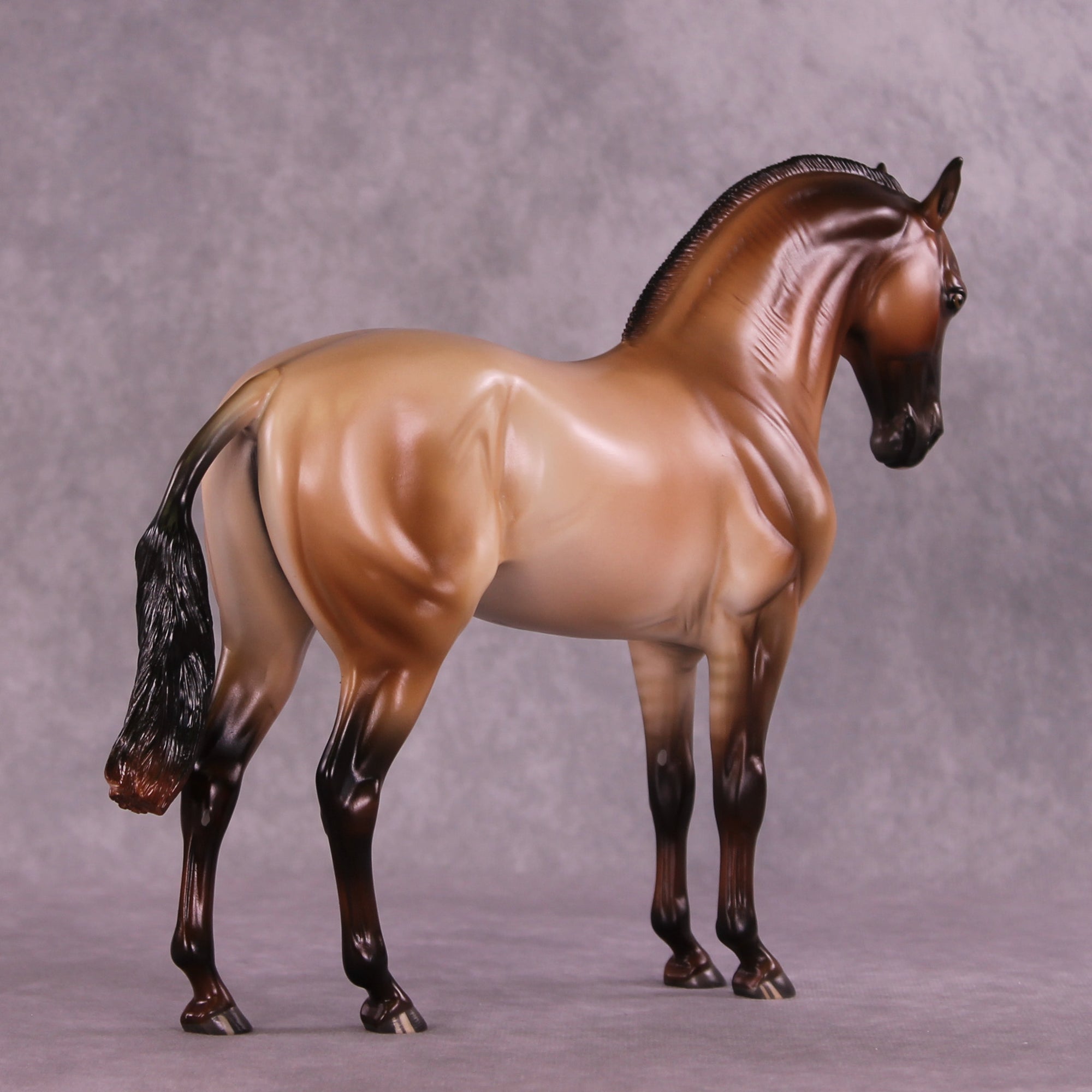 Design-A-Horse FCM Andalusian by Ashley Palmer SS925