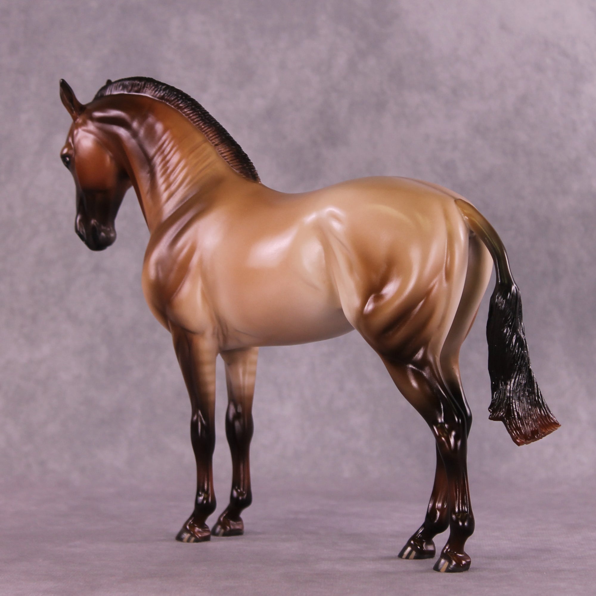 Design-A-Horse FCM Andalusian by Ashley Palmer SS925