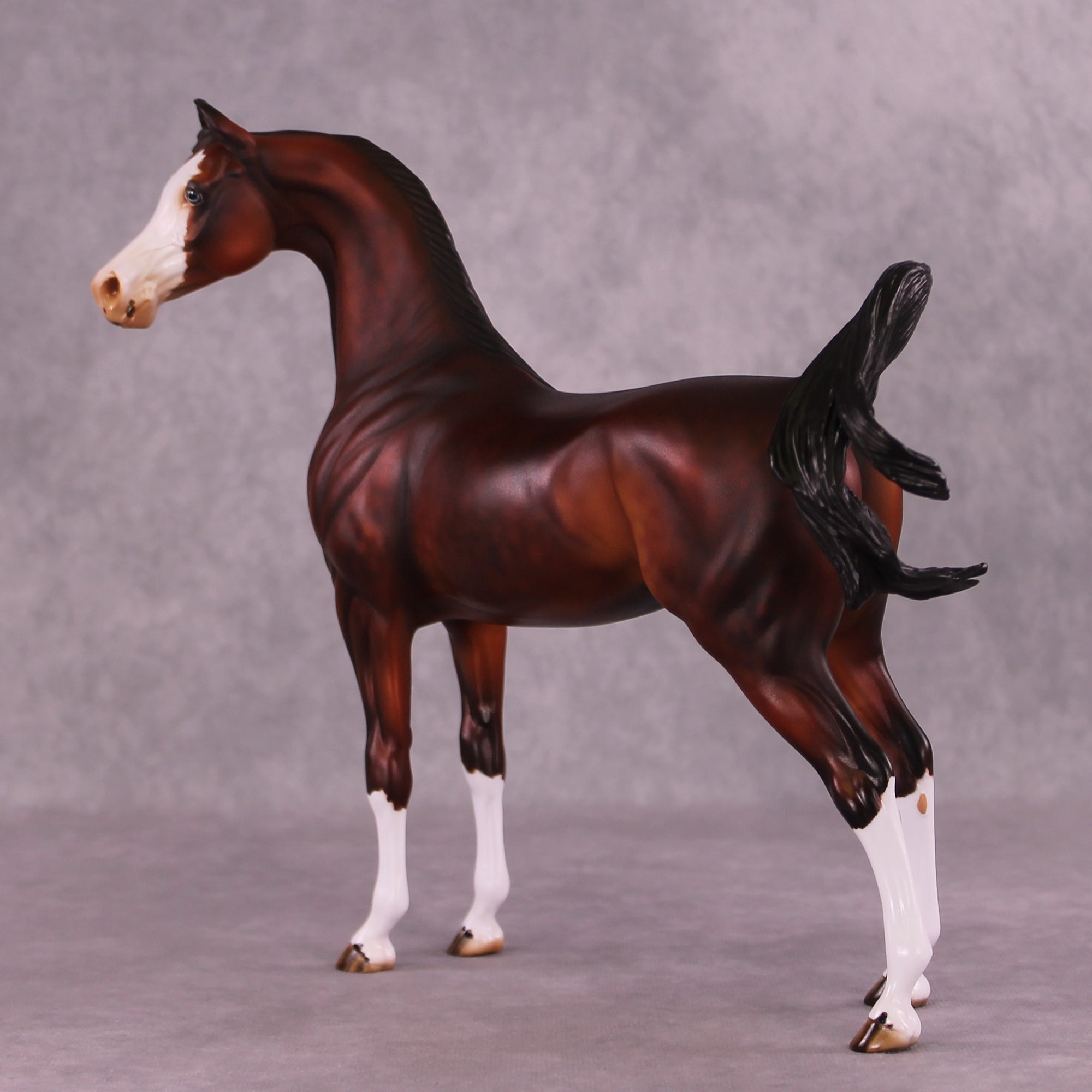 "Grenadine" OOAK FCM Arabian by Julie Keim Auction EQ25 07/15/25