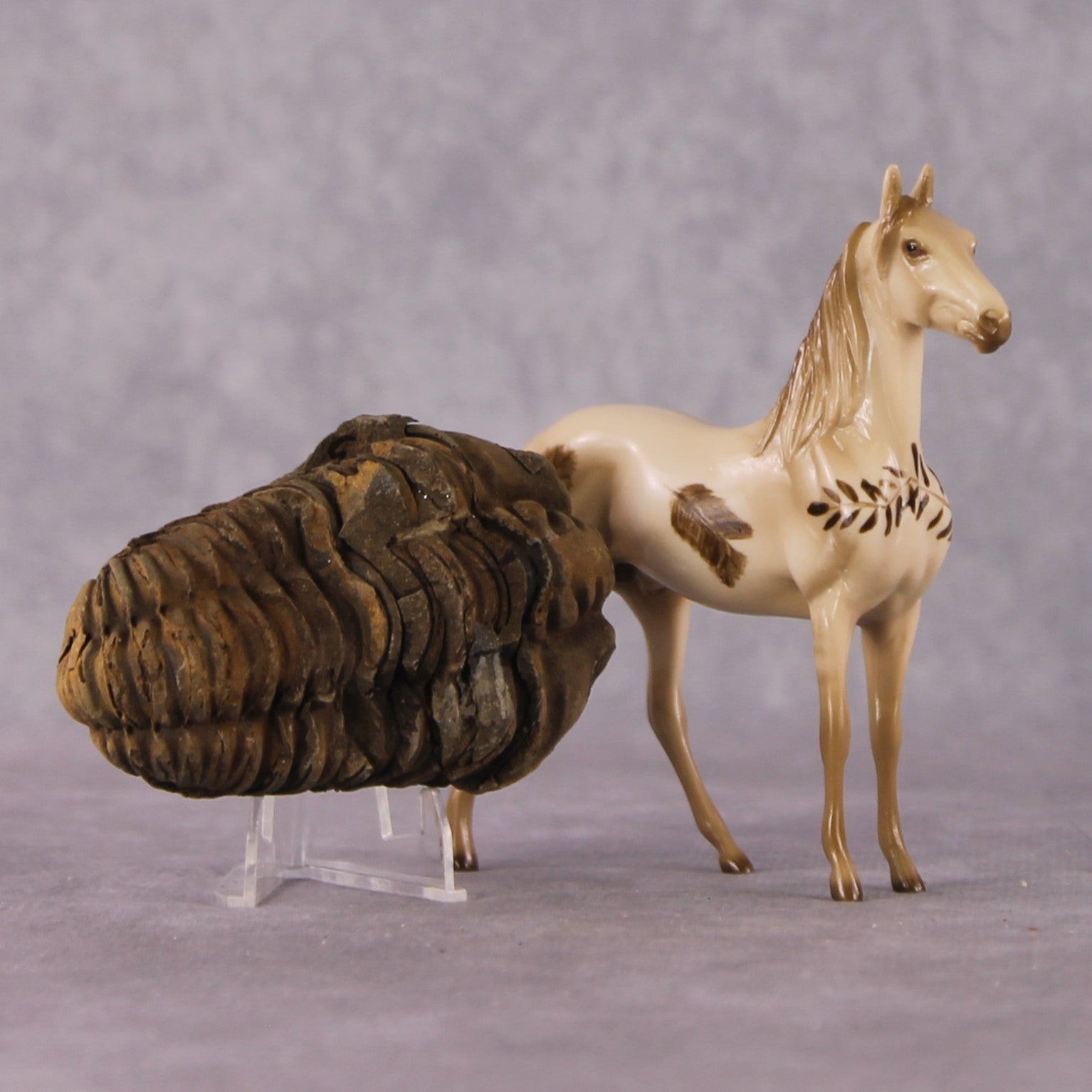 “National Take A Walk in a Park Day” Rock Chips: OOAK Morgan Chip based on Trilobite Fossil I by Ellen Robbins