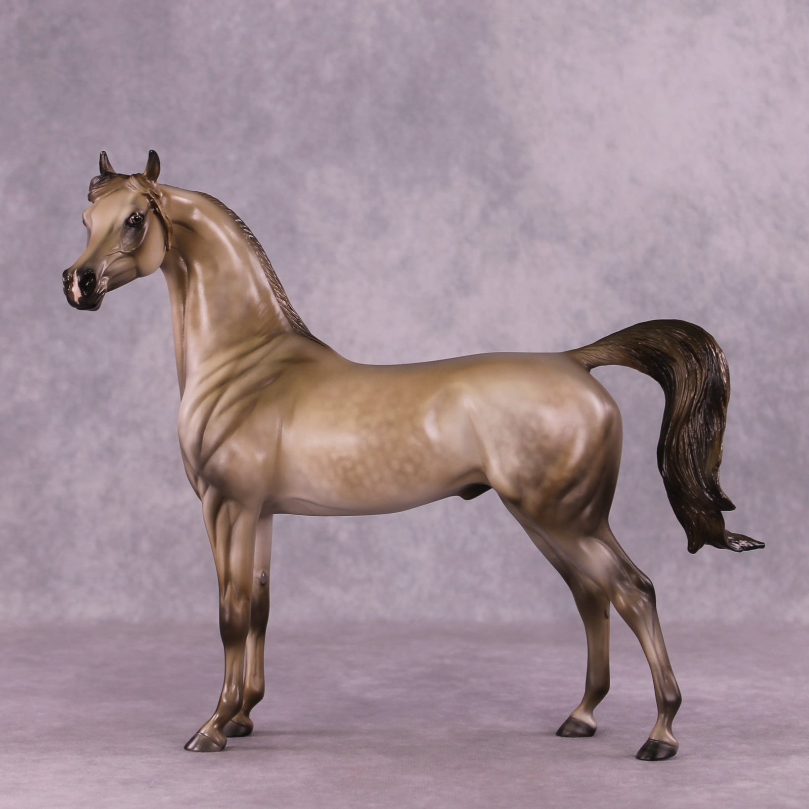 "Shiver" OOAK FCM Arabian by Julie Keim EQ25