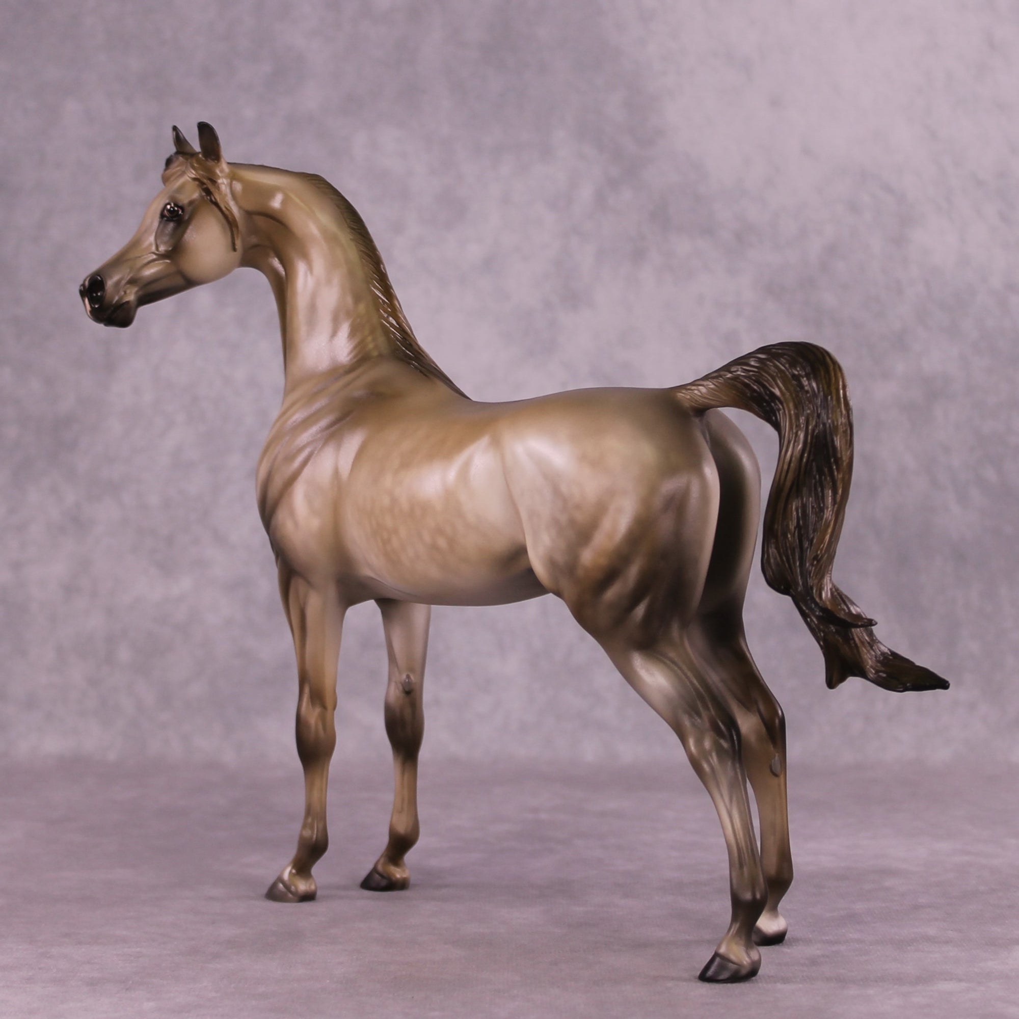 "Shiver" OOAK FCM Arabian by Julie Keim EQ25
