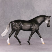 Milestone OOAK Dark Dappled Grey Irish Draught By Jamie Adamson HS24