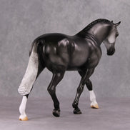 Milestone OOAK Dark Dappled Grey Irish Draught By Jamie Adamson HS24