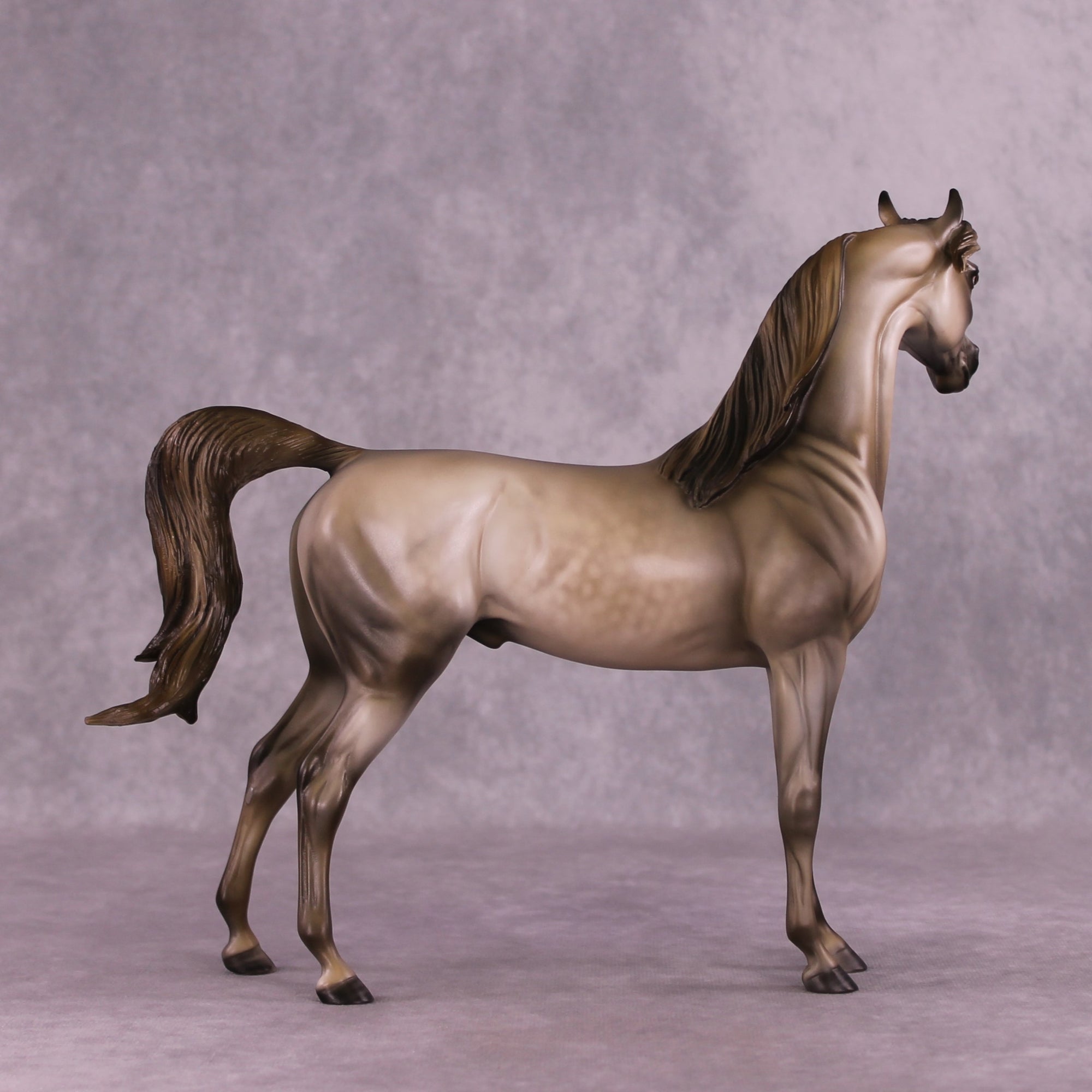 "Shiver" OOAK FCM Arabian by Julie Keim EQ25