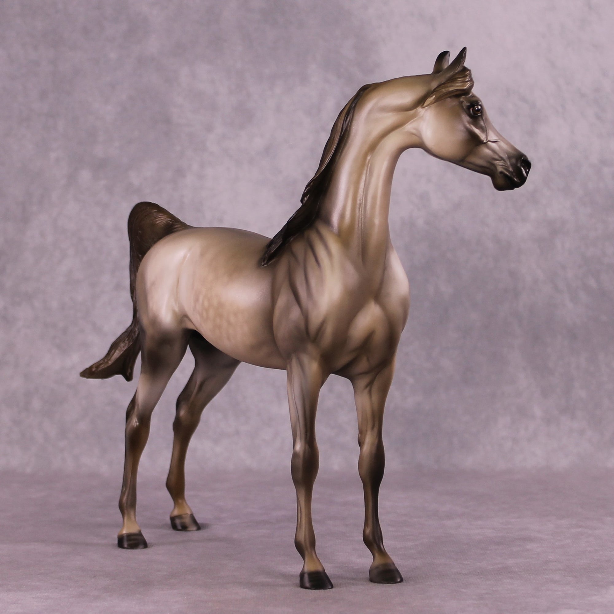 "Shiver" OOAK FCM Arabian by Julie Keim EQ25