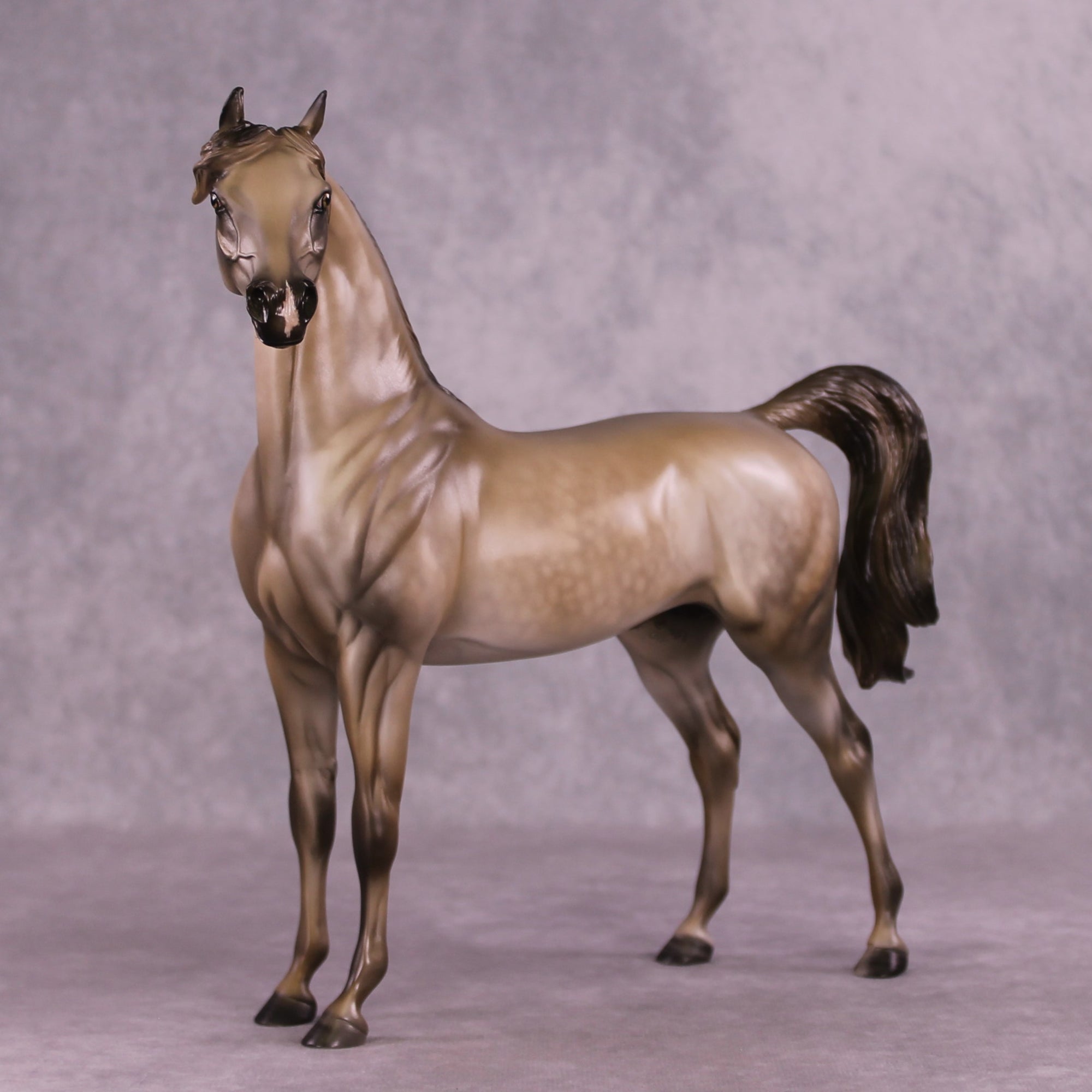 "Shiver" OOAK FCM Arabian by Julie Keim EQ25