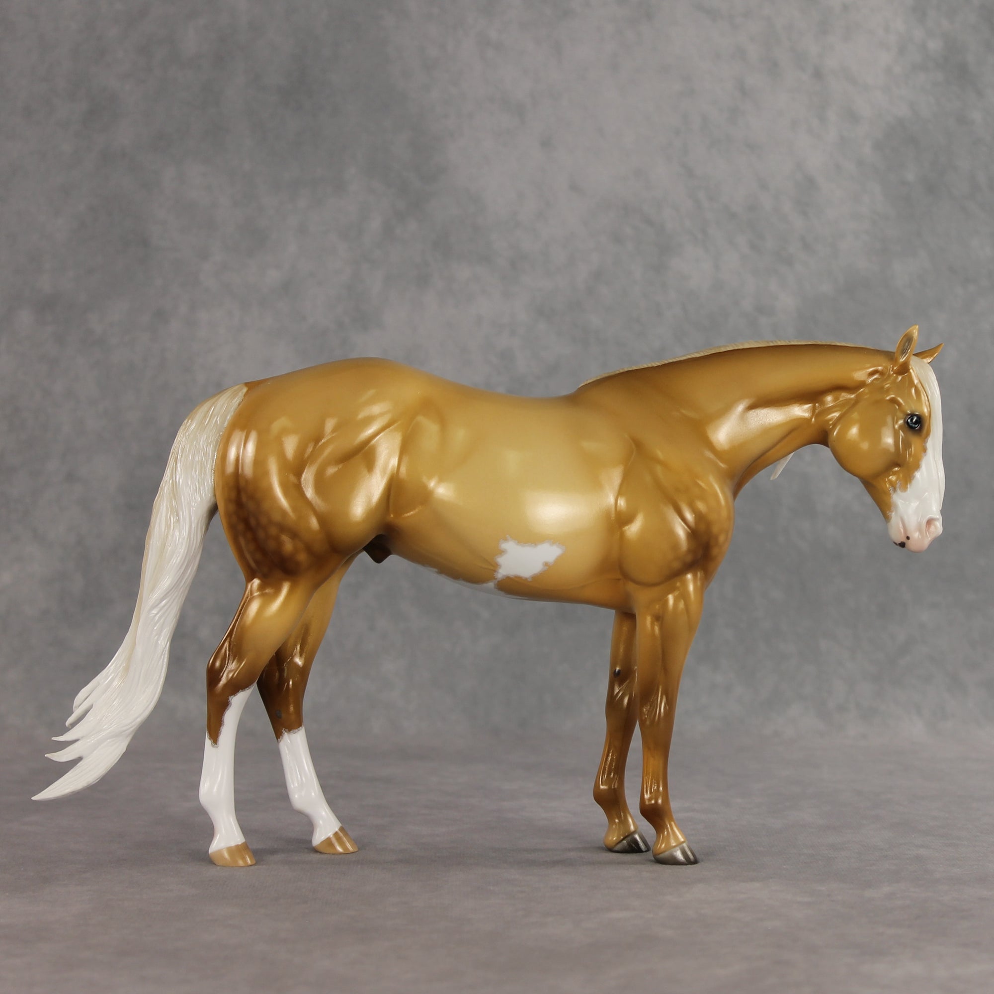 SAMPLE Rein N Sunshine LE-5 EFCM Ideal Stock Horse by Ellen Robbins, Mona, &amp; Matt Samuels Best Offer 7.14.2026