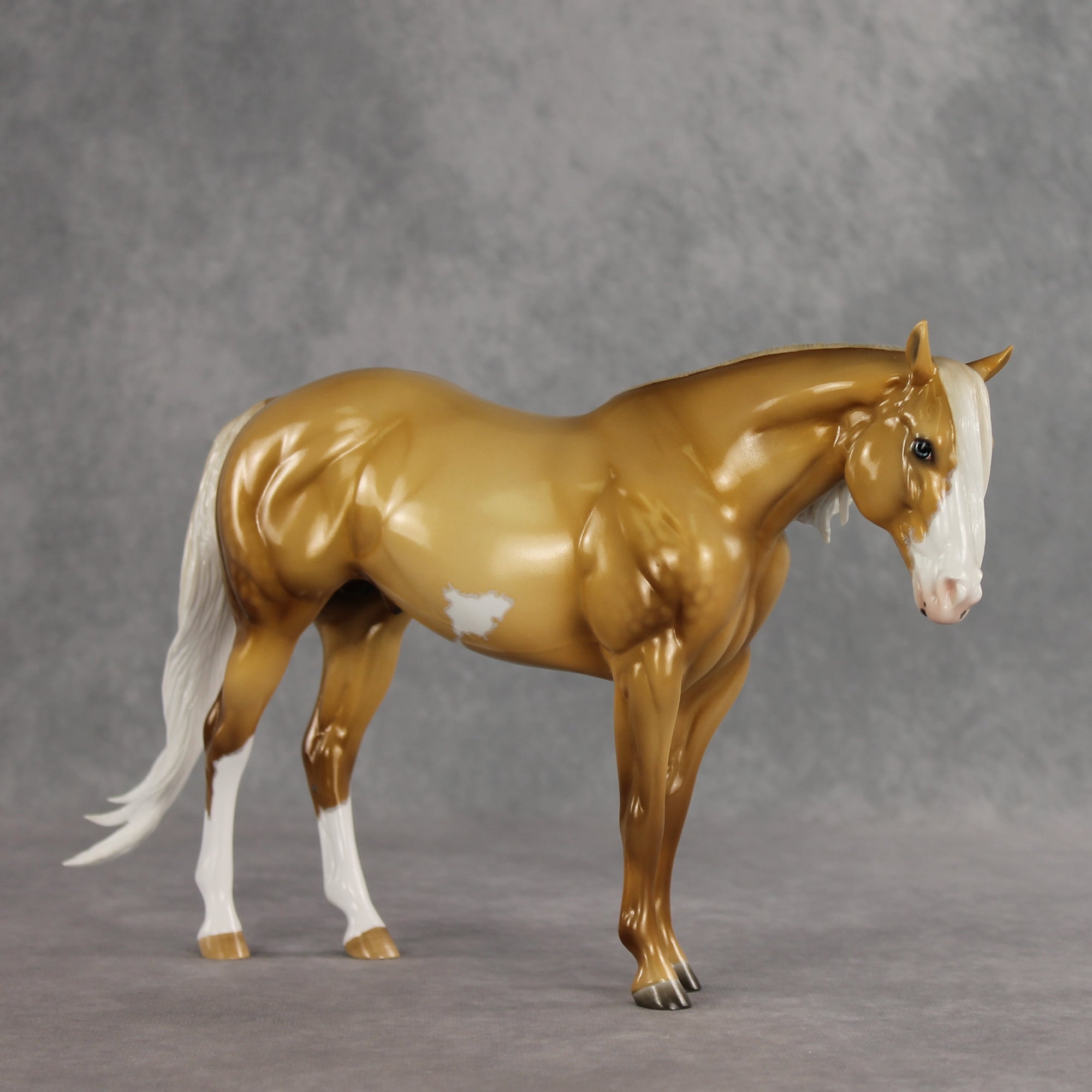 SAMPLE Rein N Sunshine LE-5 EFCM Ideal Stock Horse by Ellen Robbins, Mona, &amp; Matt Samuels Best Offer 7.14.2026