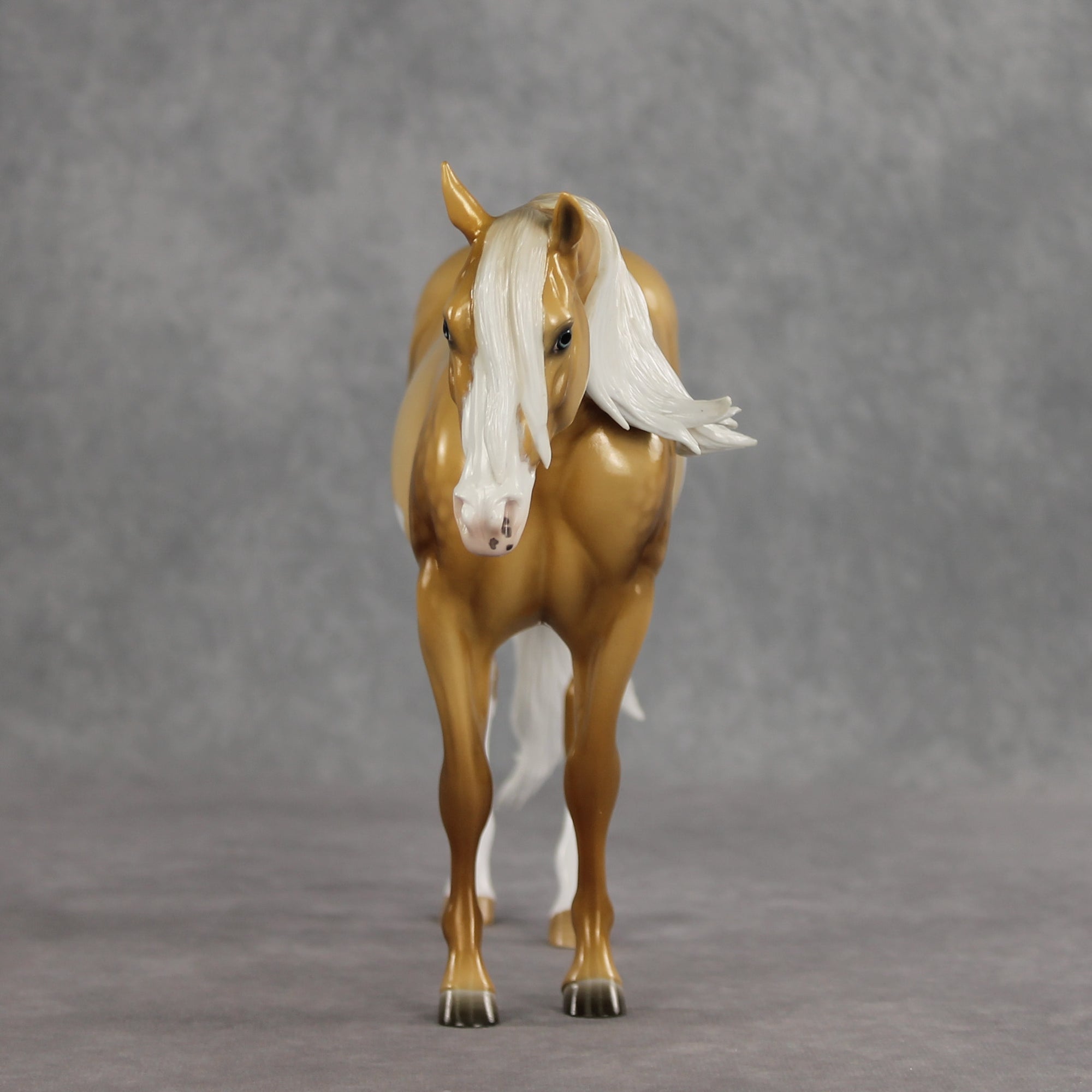 SAMPLE Rein N Sunshine LE-5 EFCM Ideal Stock Horse by Ellen Robbins, Mona, &amp; Matt Samuels Best Offer 7.14.2026