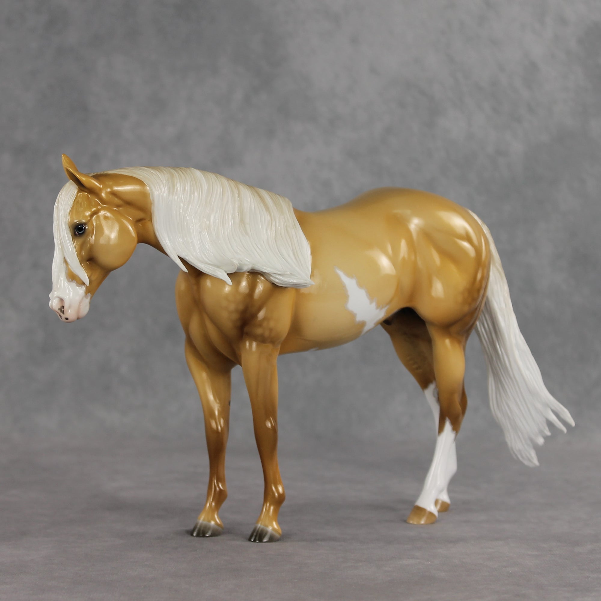 SAMPLE Rein N Sunshine LE-5 EFCM Ideal Stock Horse by Ellen Robbins, Mona, &amp; Matt Samuels Best Offer 7.14.2026