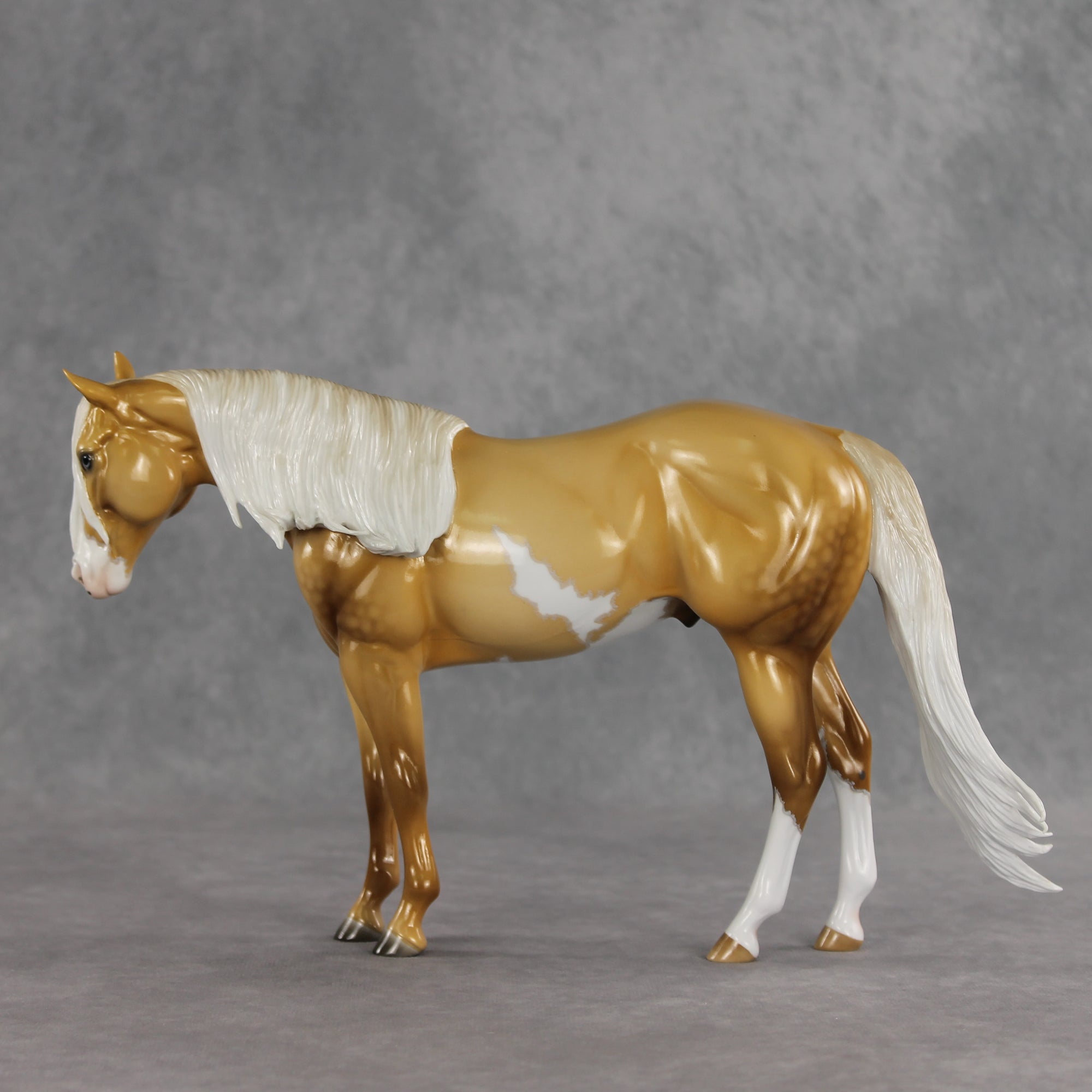 SAMPLE Rein N Sunshine LE-5 EFCM Ideal Stock Horse by Ellen Robbins, Mona, &amp; Matt Samuels Best Offer 7.14.2026
