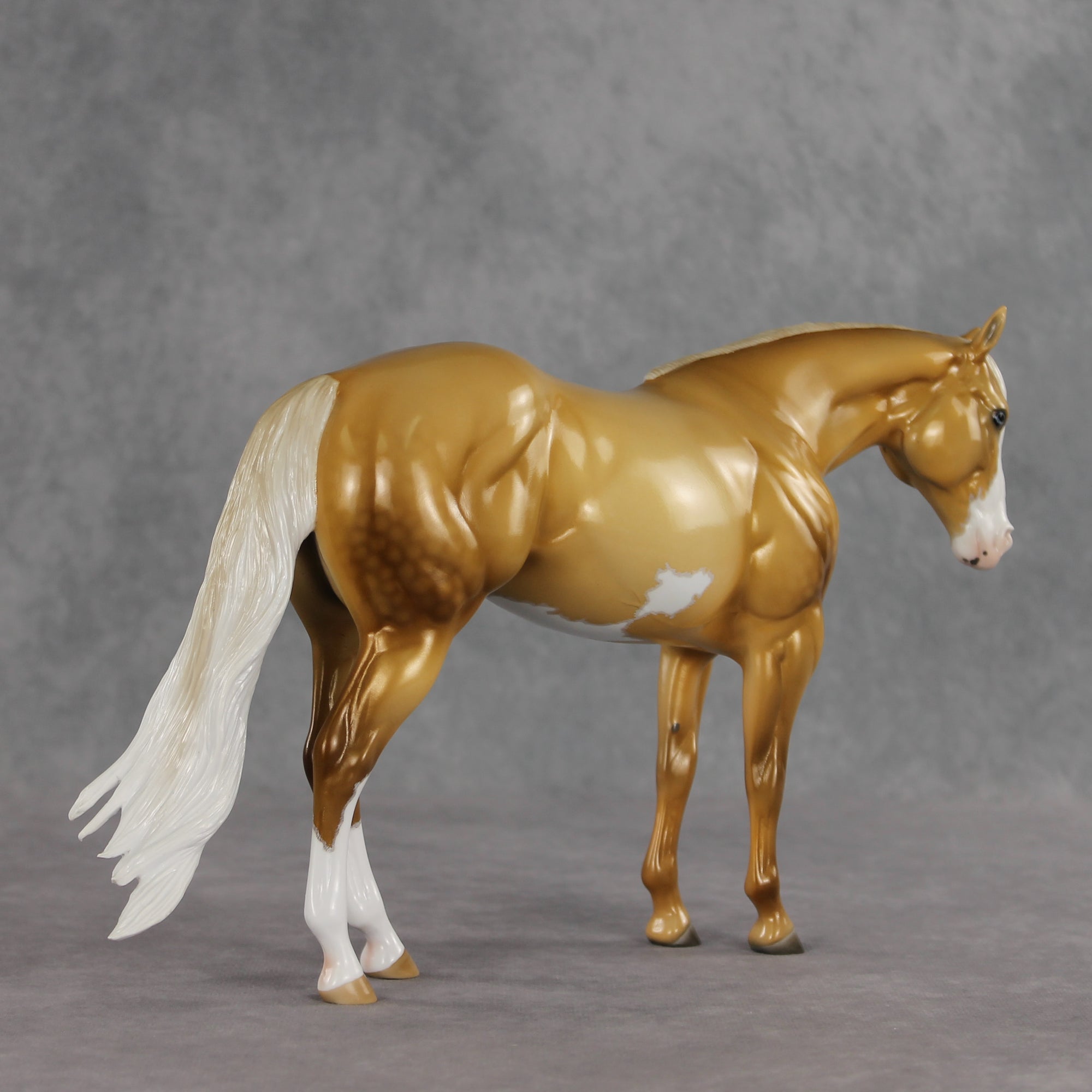 SAMPLE Rein N Sunshine LE-5 EFCM Ideal Stock Horse by Ellen Robbins, Mona, &amp; Matt Samuels Best Offer 7.14.2026