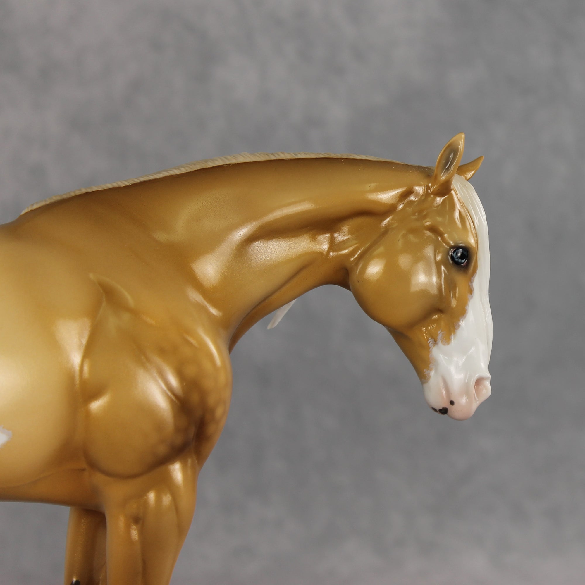 SAMPLE Rein N Sunshine LE-5 EFCM Ideal Stock Horse by Ellen Robbins, Mona, &amp; Matt Samuels Best Offer 7.14.2026