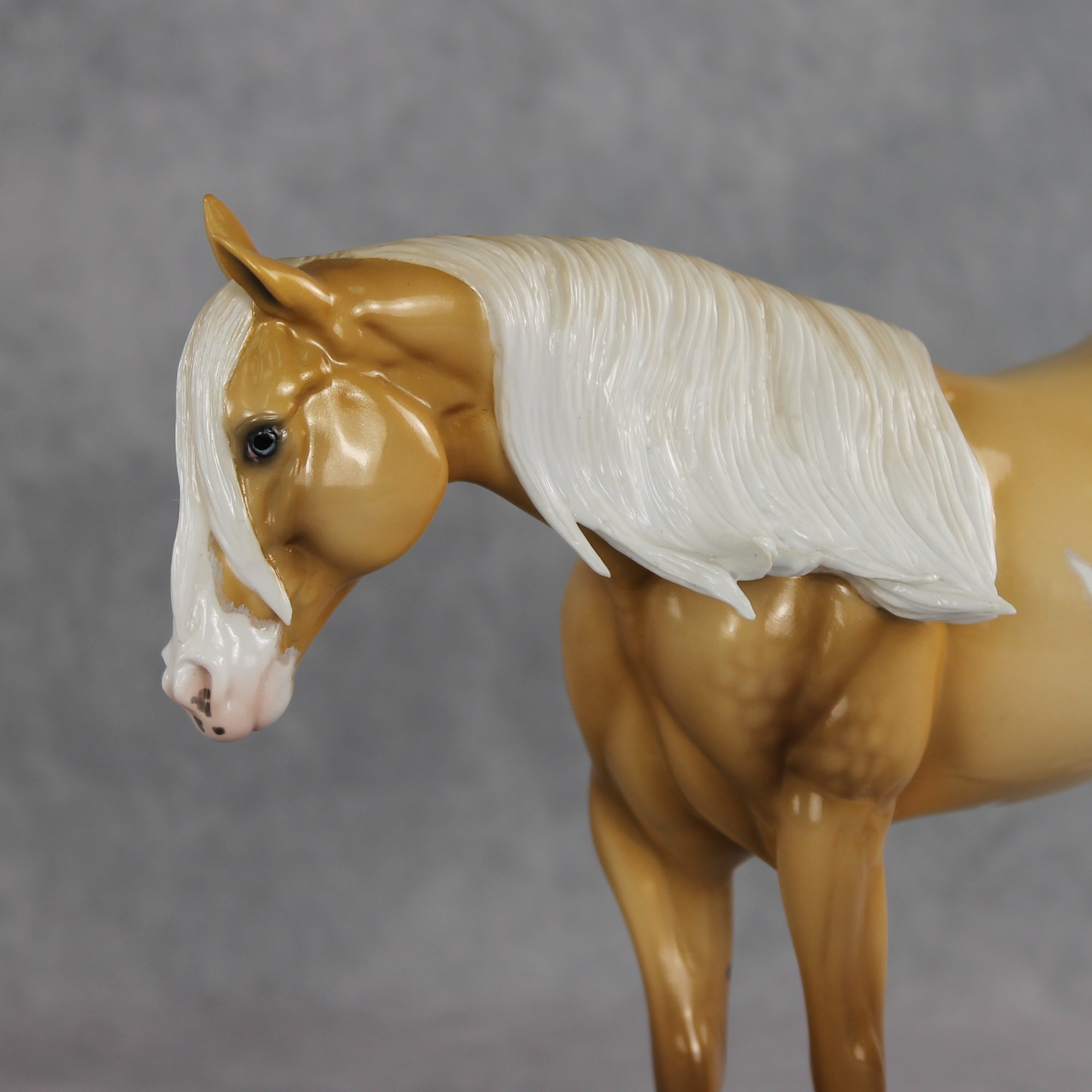 SAMPLE Rein N Sunshine LE-5 EFCM Ideal Stock Horse by Ellen Robbins, Mona, &amp; Matt Samuels Best Offer 7.14.2026